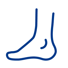 Outline drawing of a human nose and part of the face in blue.
