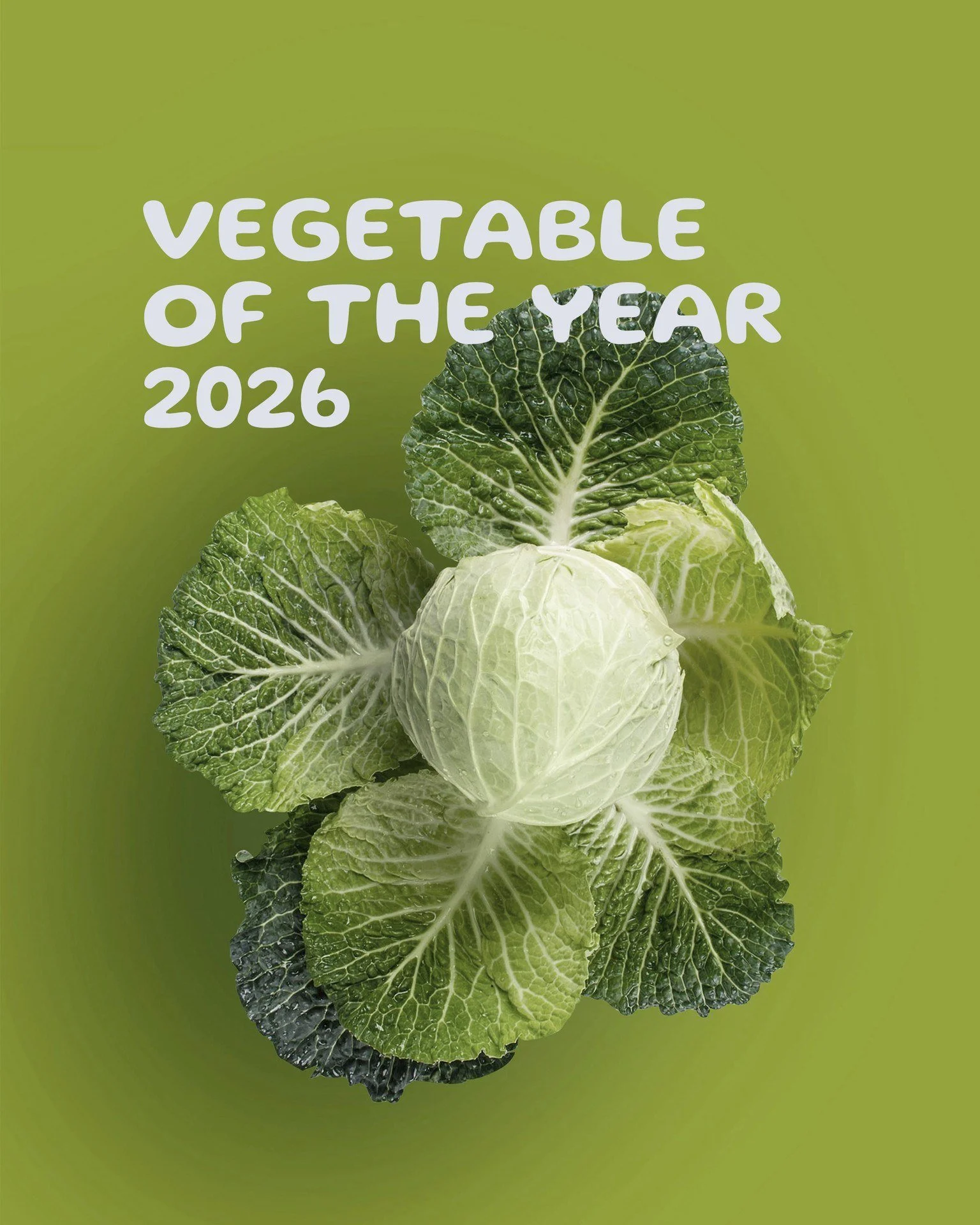 The 2026 food reports are in: @voguemagazine officially named cabbage the &ldquo;Vegetable of the Year&rdquo; 🥬✨

Long before it was a global trend, it was our family&rsquo;s way of staying healthy. We&rsquo;ve been fermenting it for generations to 