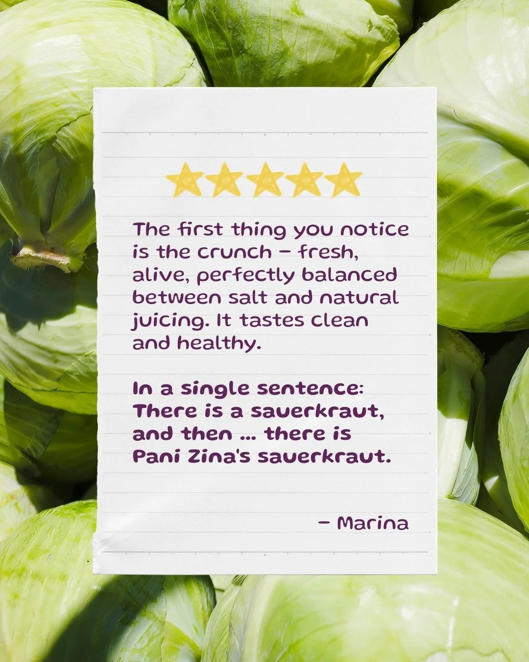 Reviews like this are the whole reason we do this. Thank you! 💛

#panizina #probioticcrunch #guthealth #livingfood #wellness
