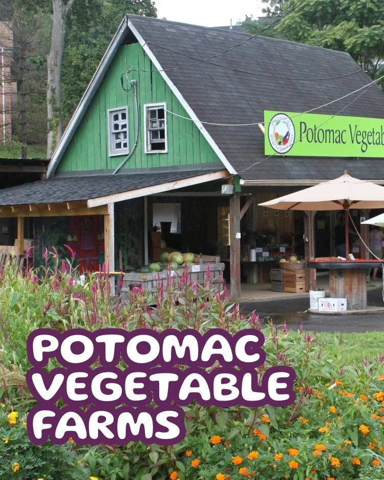 Fresh air, good vibes, and Probiotic Crunch &mdash; find us at @potomac_vegetable_farms vegetablefarms stands this season! There's something about being outside that just makes everything taste better 💛🥗

Who else is counting down to market season?