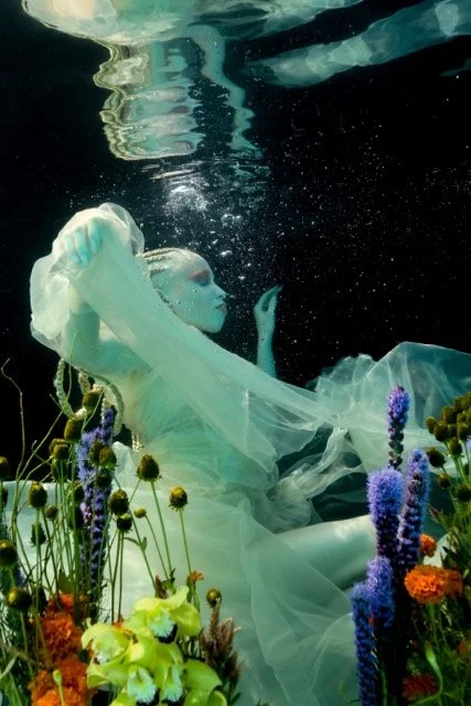 UnderwaterAlexisFavorite-28 Medium.jpeg