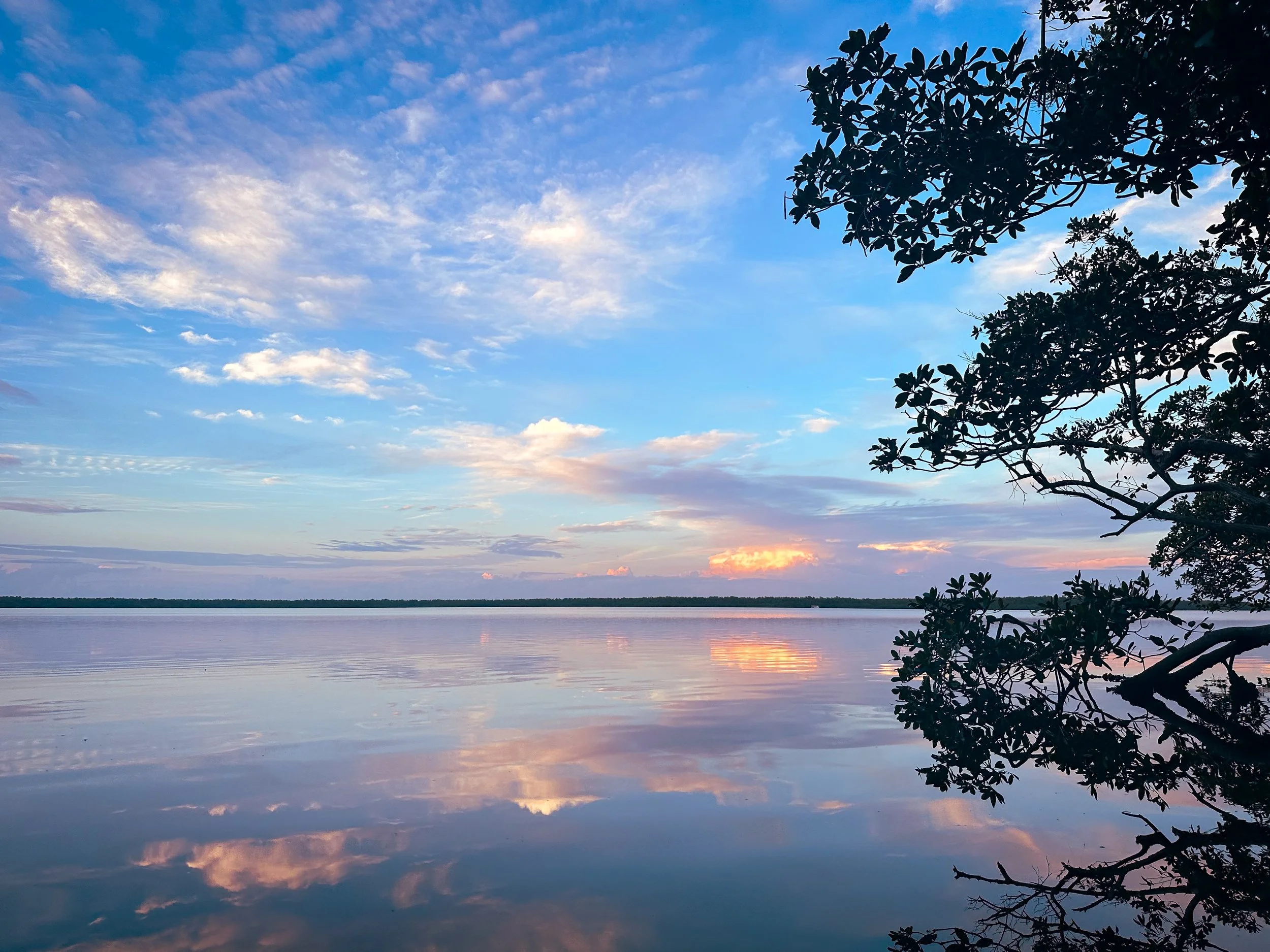 A calm lake reflecting a partly cloudy sky during sunset, with tree branches on the right side.