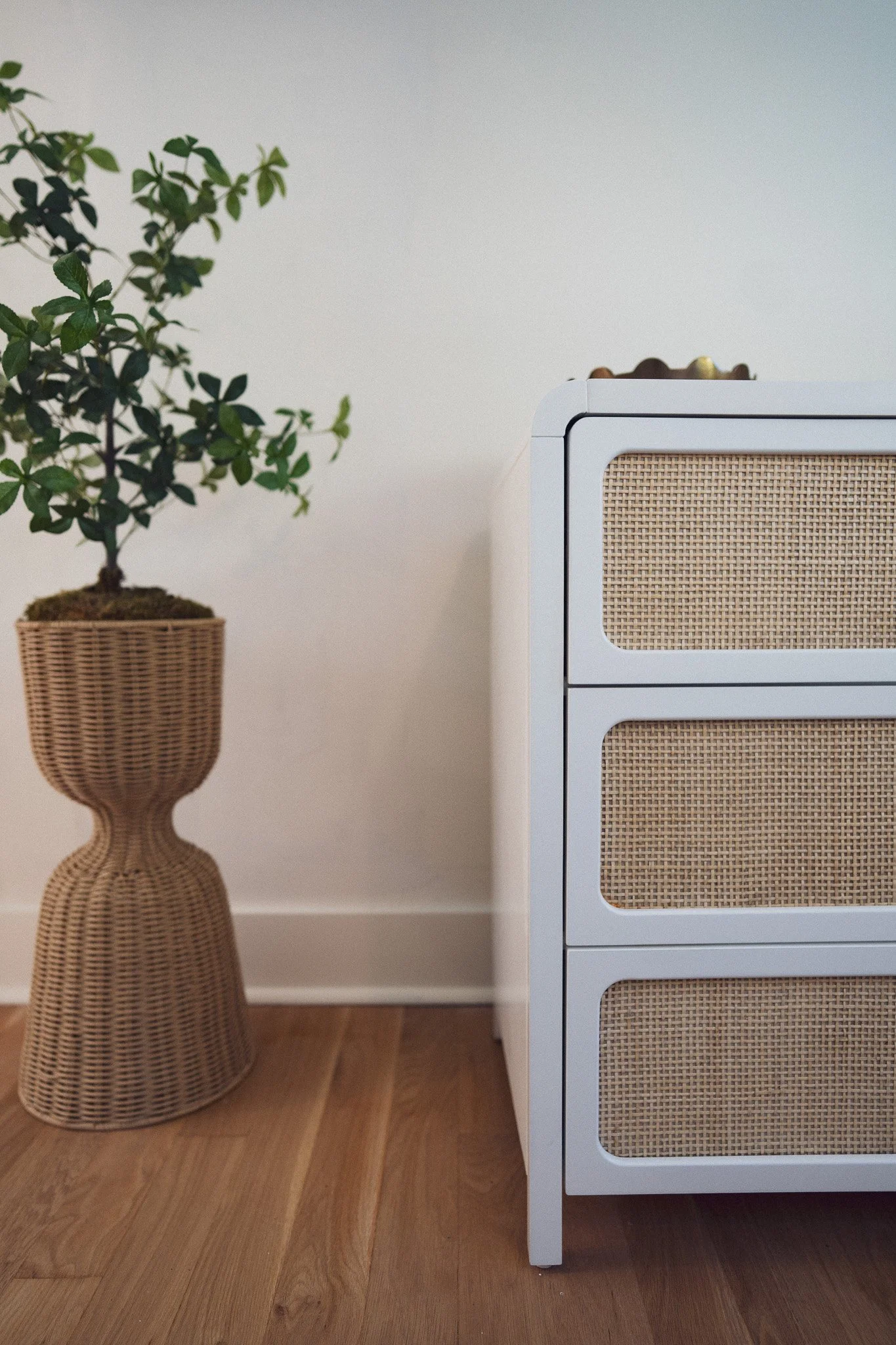 A potted leafy green plant in a woven basket stand next to a white dresser with woven rattan panels on the drawers on a wooden floor against a white wall.