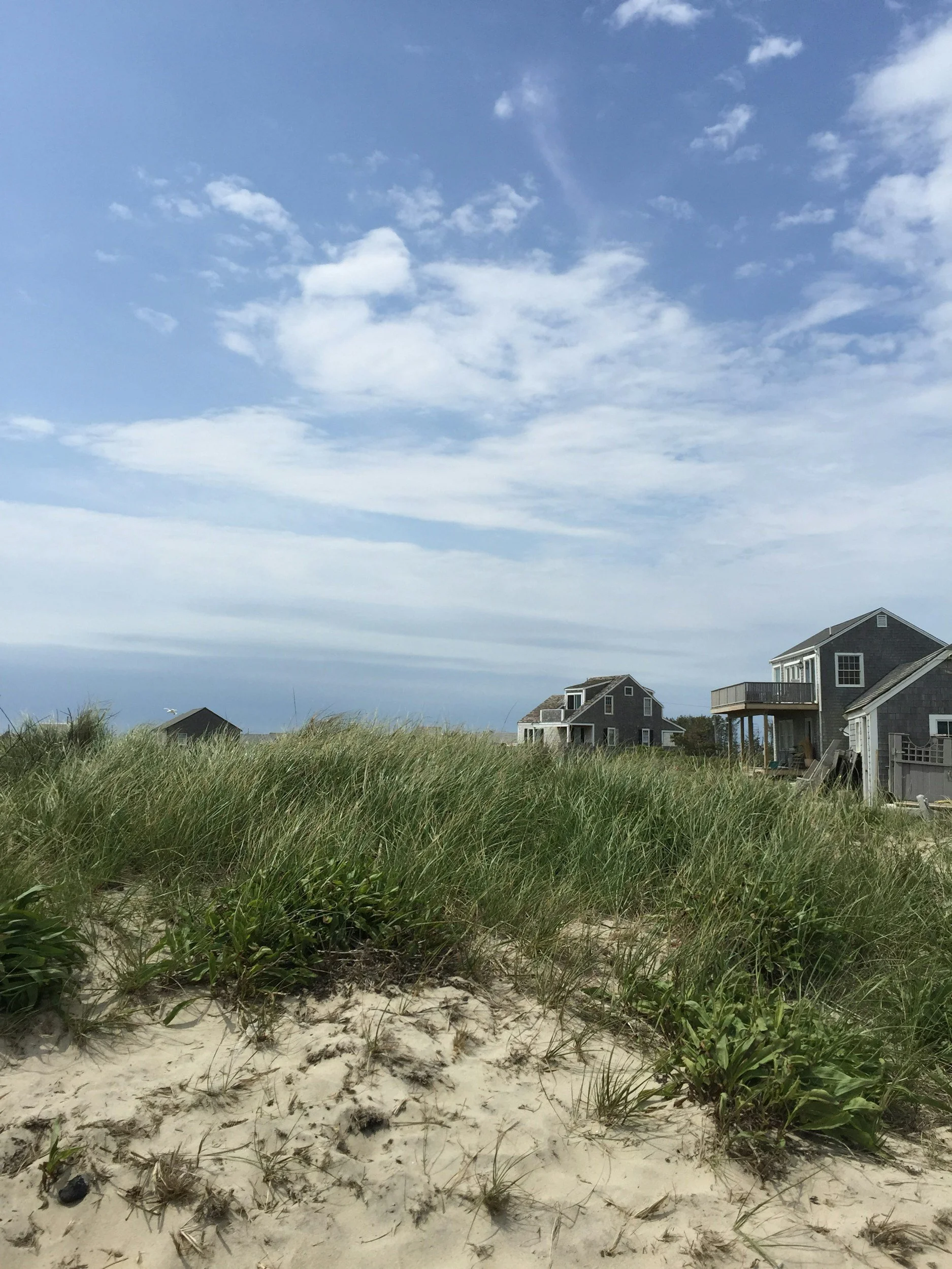 Beach scene with sand dunes, tall grass, and oceanfront houses under a partly cloudy sky.
