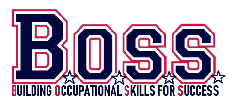The BOSS Network