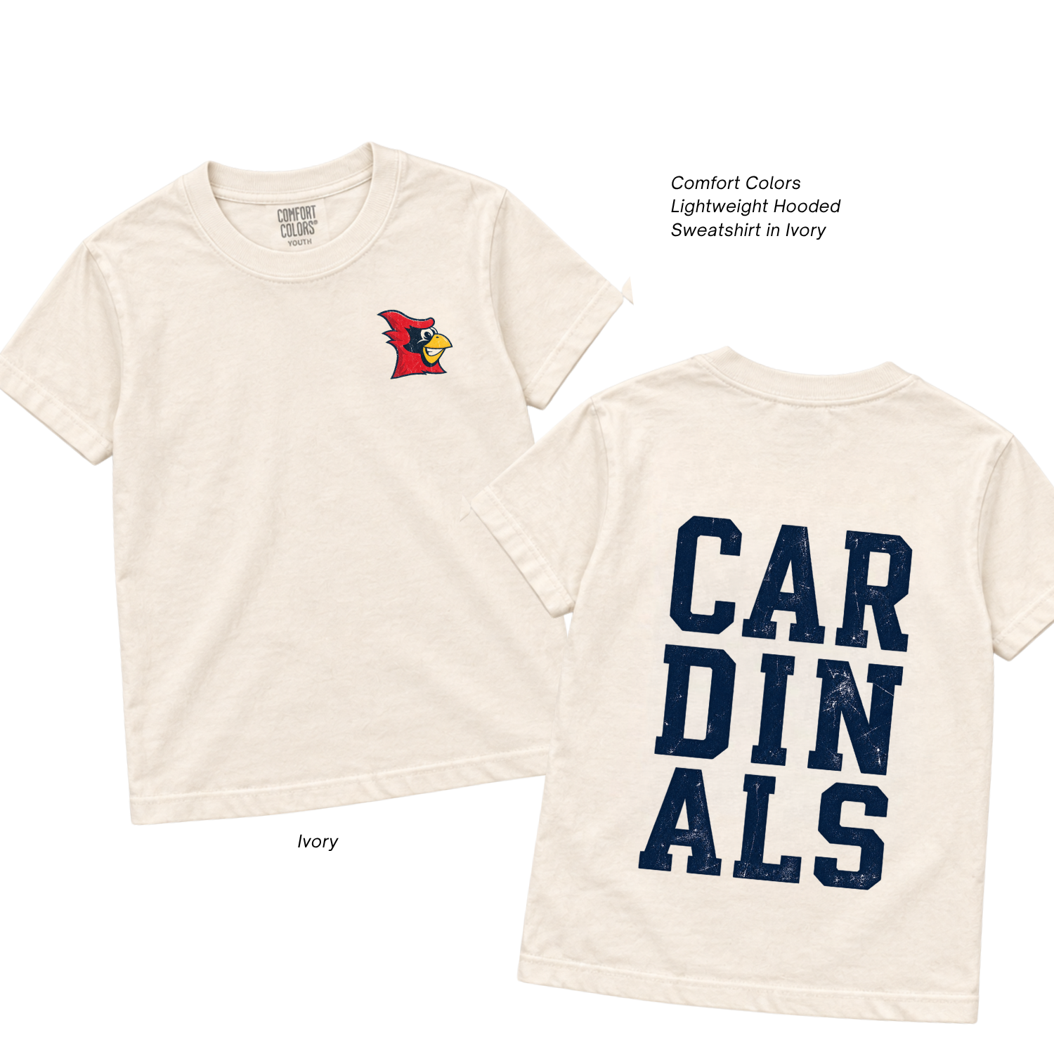Copy of 08.25.26 - NEW_saintanne_spiritwear 5.PNG