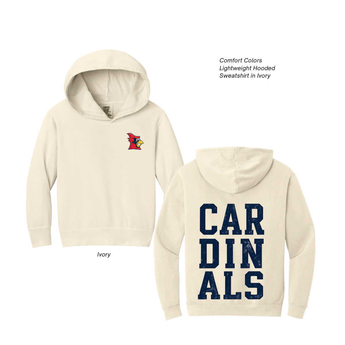 Copy of 08.25.26 - NEW_saintanne_spiritwear 9.PNG