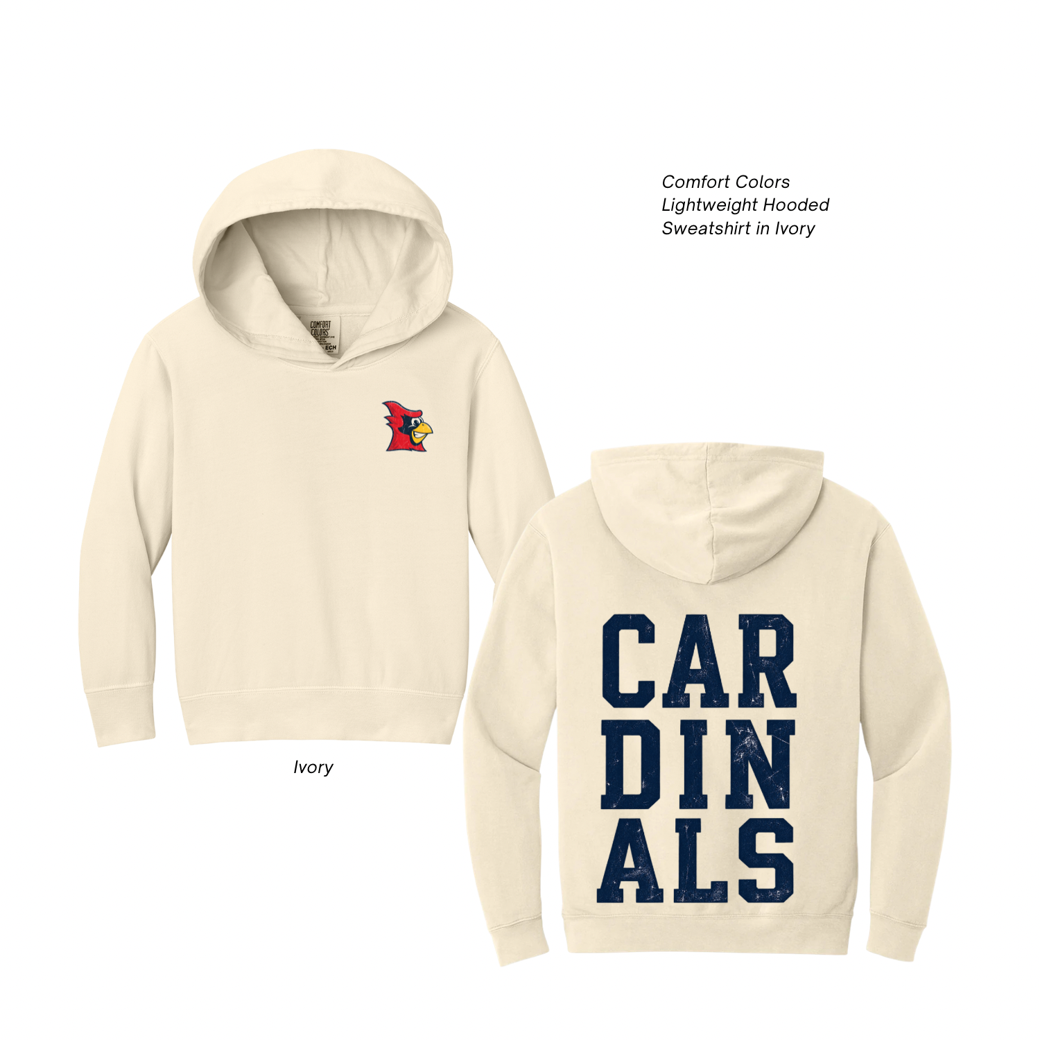 Copy of 08.25.26 - NEW_saintanne_spiritwear 6.PNG
