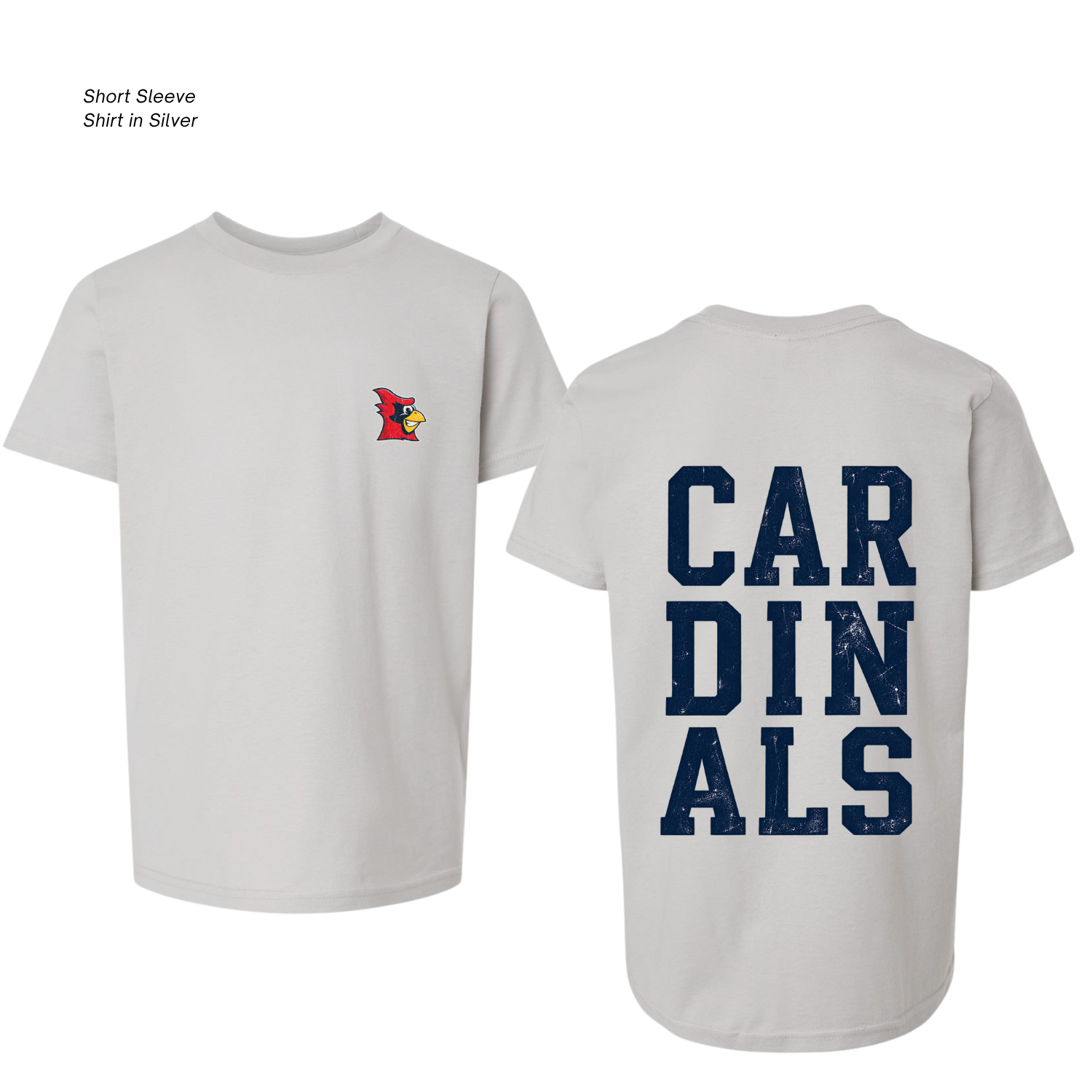 Copy of 08.25.26 - NEW_saintanne_spiritwear (1).png