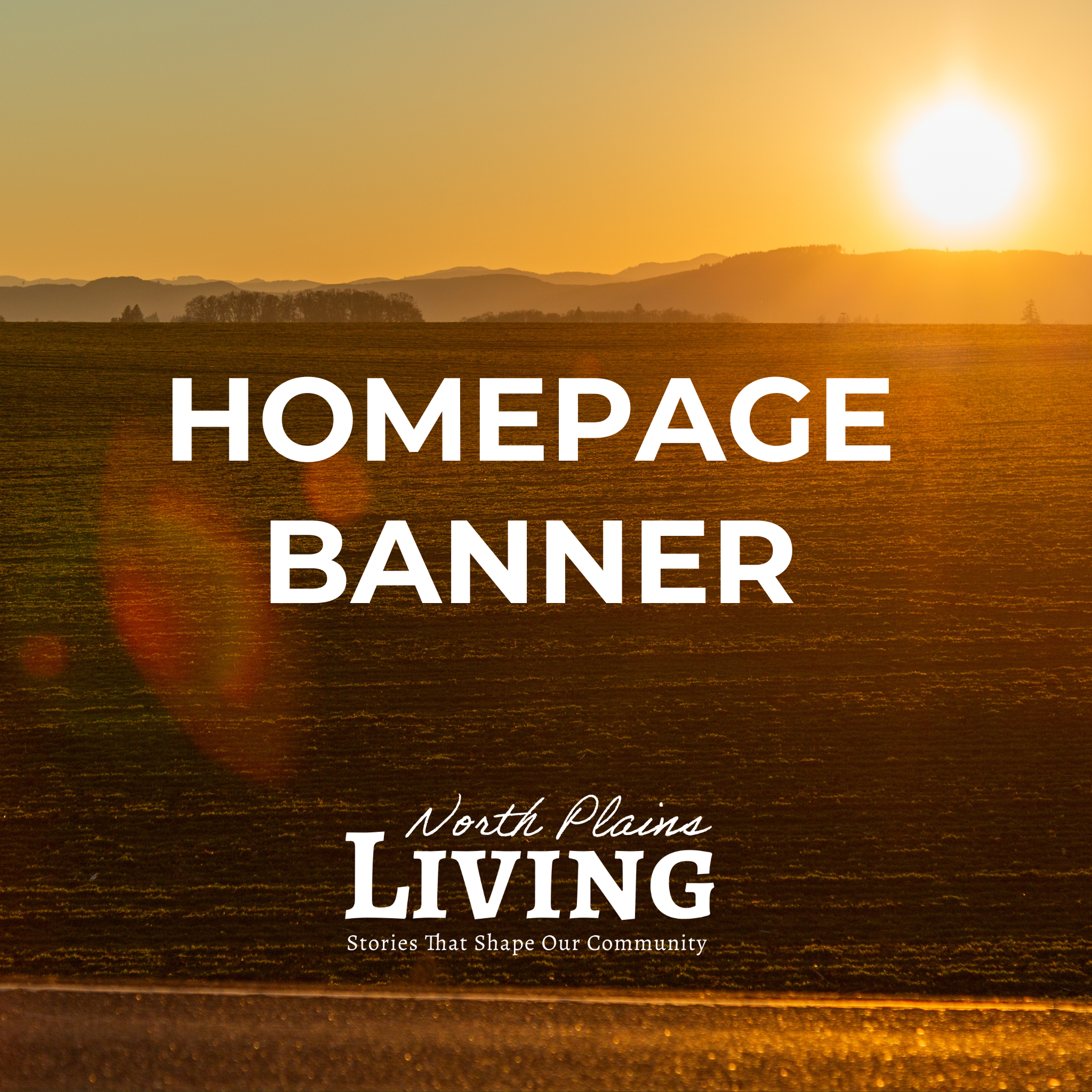 Website Homepage Banner