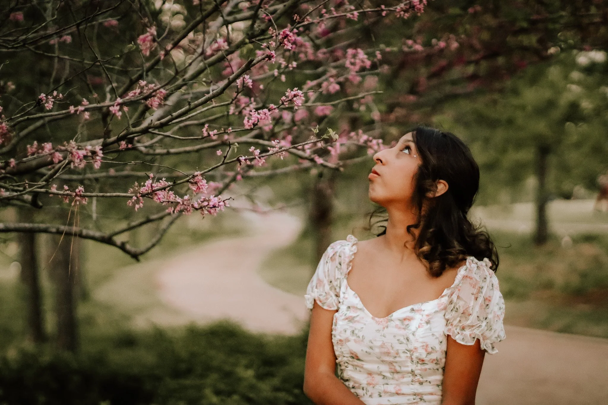 A young woman with dark wavy hair standing outdoors on a winding path, looking up at pink cherry blossoms on a tree branch.
