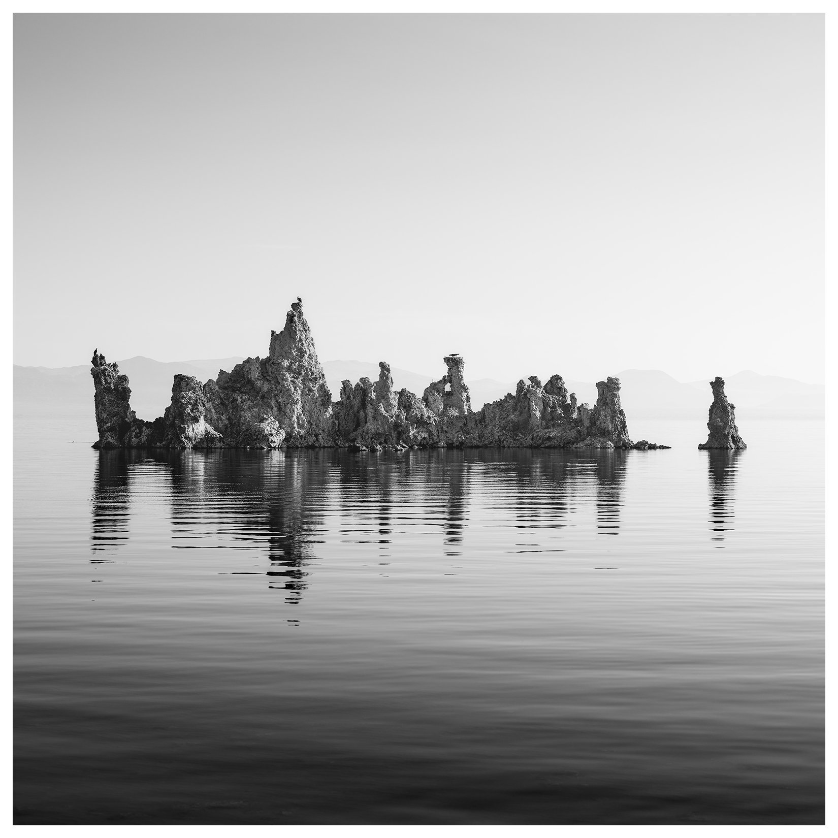 Three Ospreys At Mono Lake