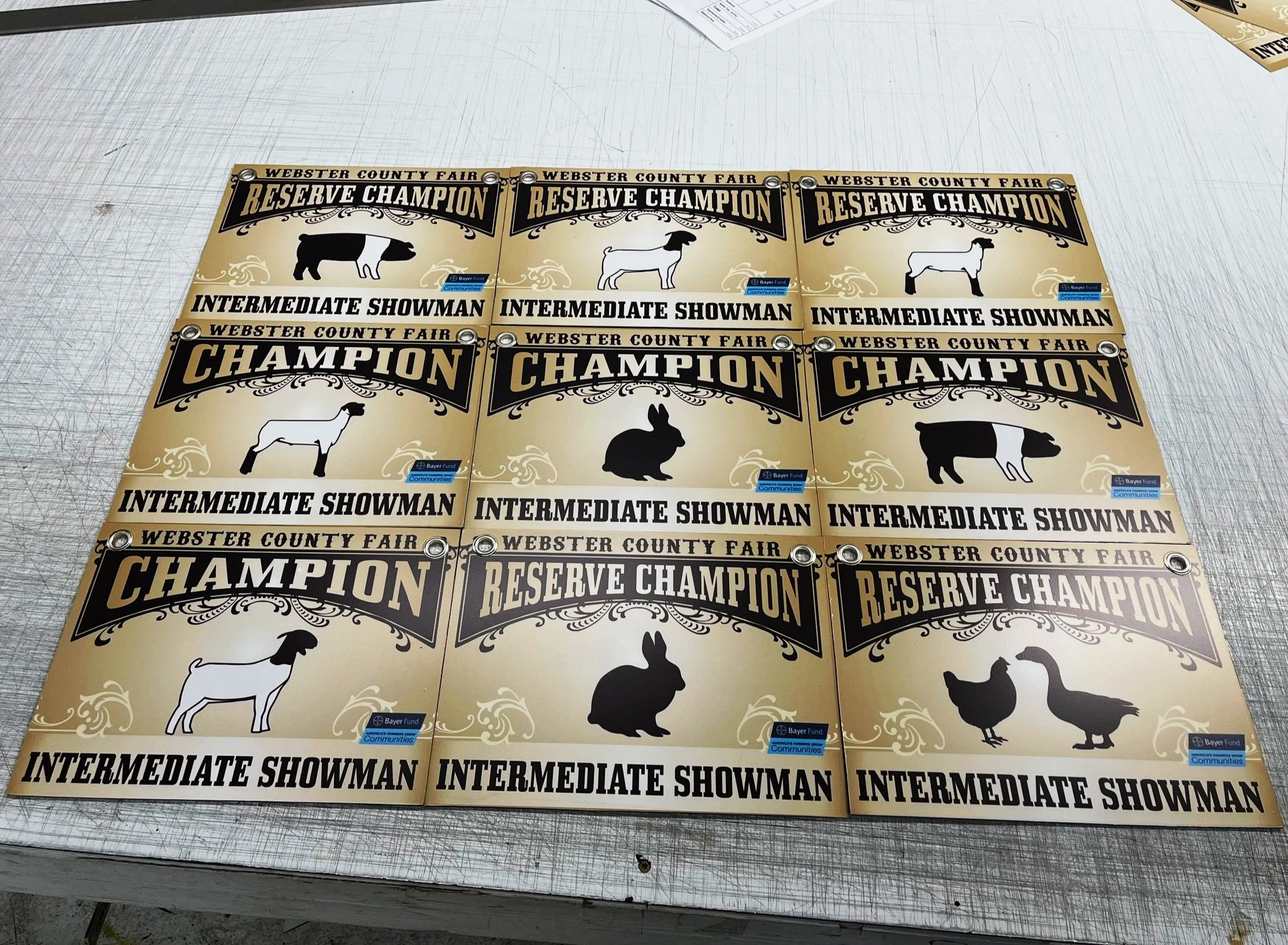 Set of awards for reserve champion and champion at the Webster County Fair, featuring images of different animals including a pig, goat, rabbit, and chicken.