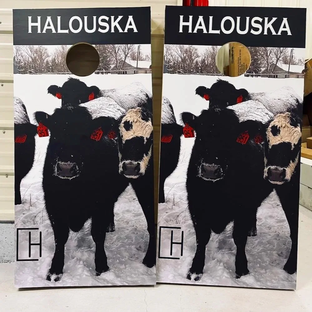 Vinyl corn hole boards 