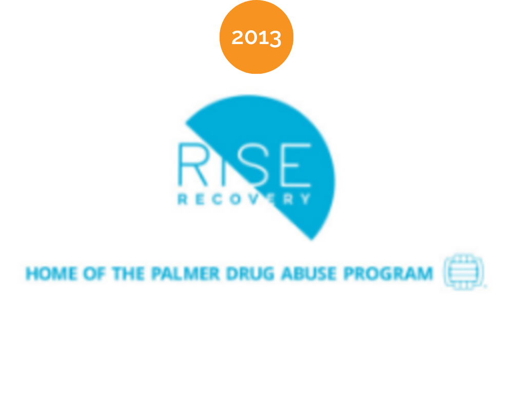 Logo for the Rise Recovery program, identified as the home of the Palmer Drug Abuse Program, with a blue and white color scheme, a circular graphic element, and the year 2013 at the top.