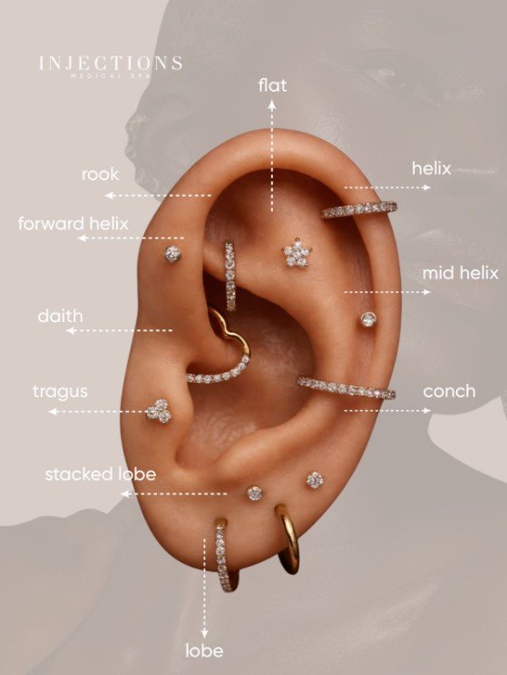 Screenshot 2026-02-25 132913.jpg