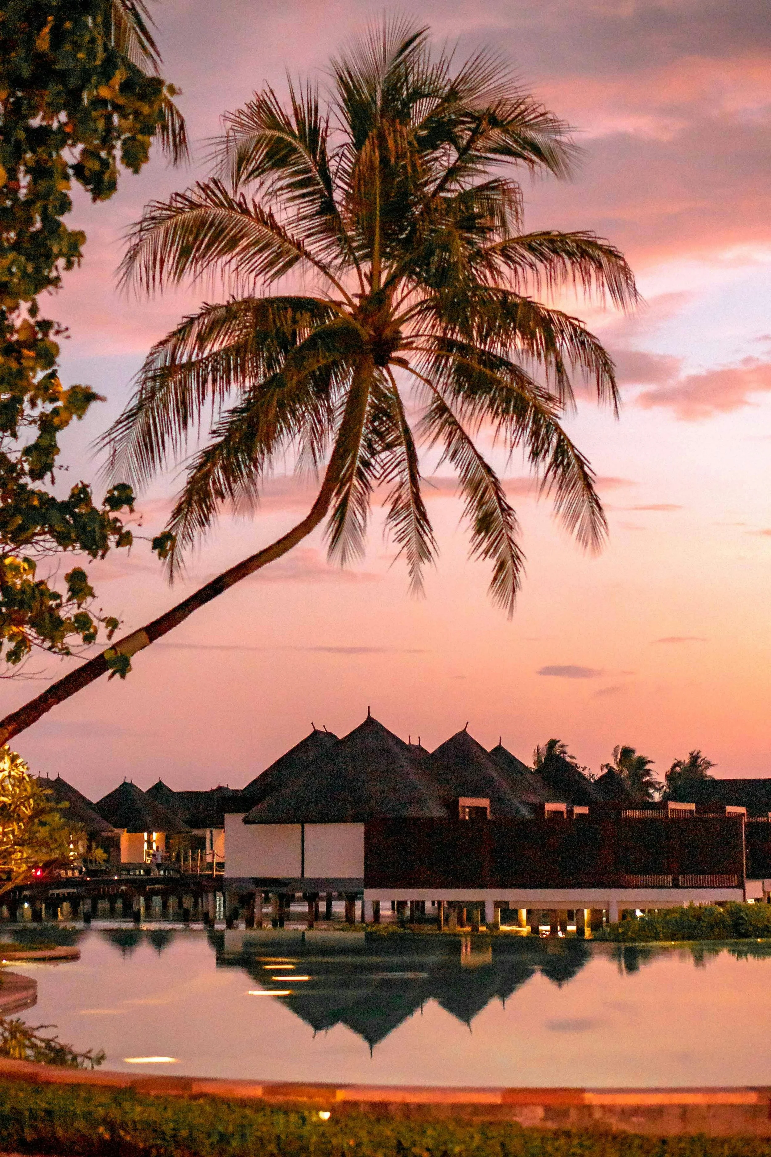 Tropical scene at sunset with a leaning palm tree, overwater bungalows, and a calm pool reflecting the sky and structures, suggesting a resort in a warm coastal destination.