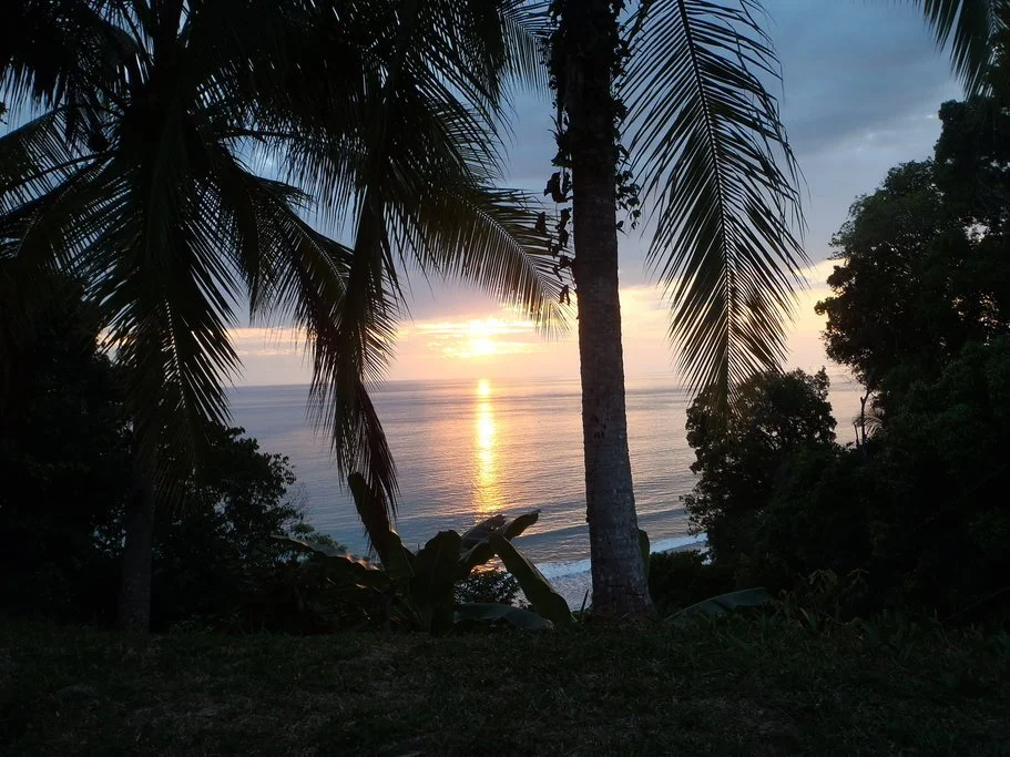 Sunset over the ocean, viewed through palm trees and tropical vegetation.