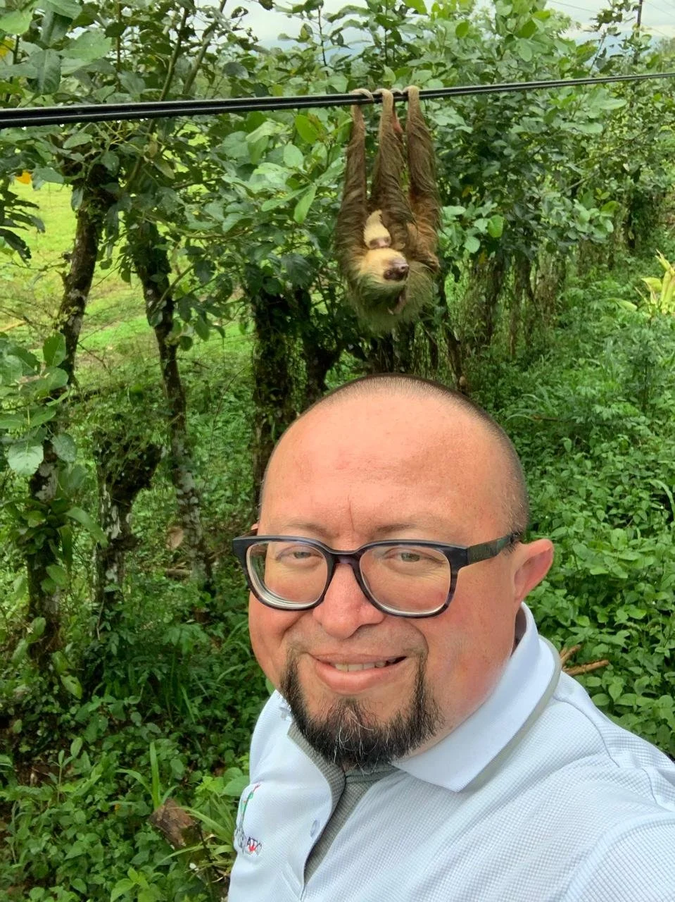 A man with glasses and a goatee taking a selfie in a lush green area with banana trees. A sloth hangs upside down from a wire above him, blending into the greenery.