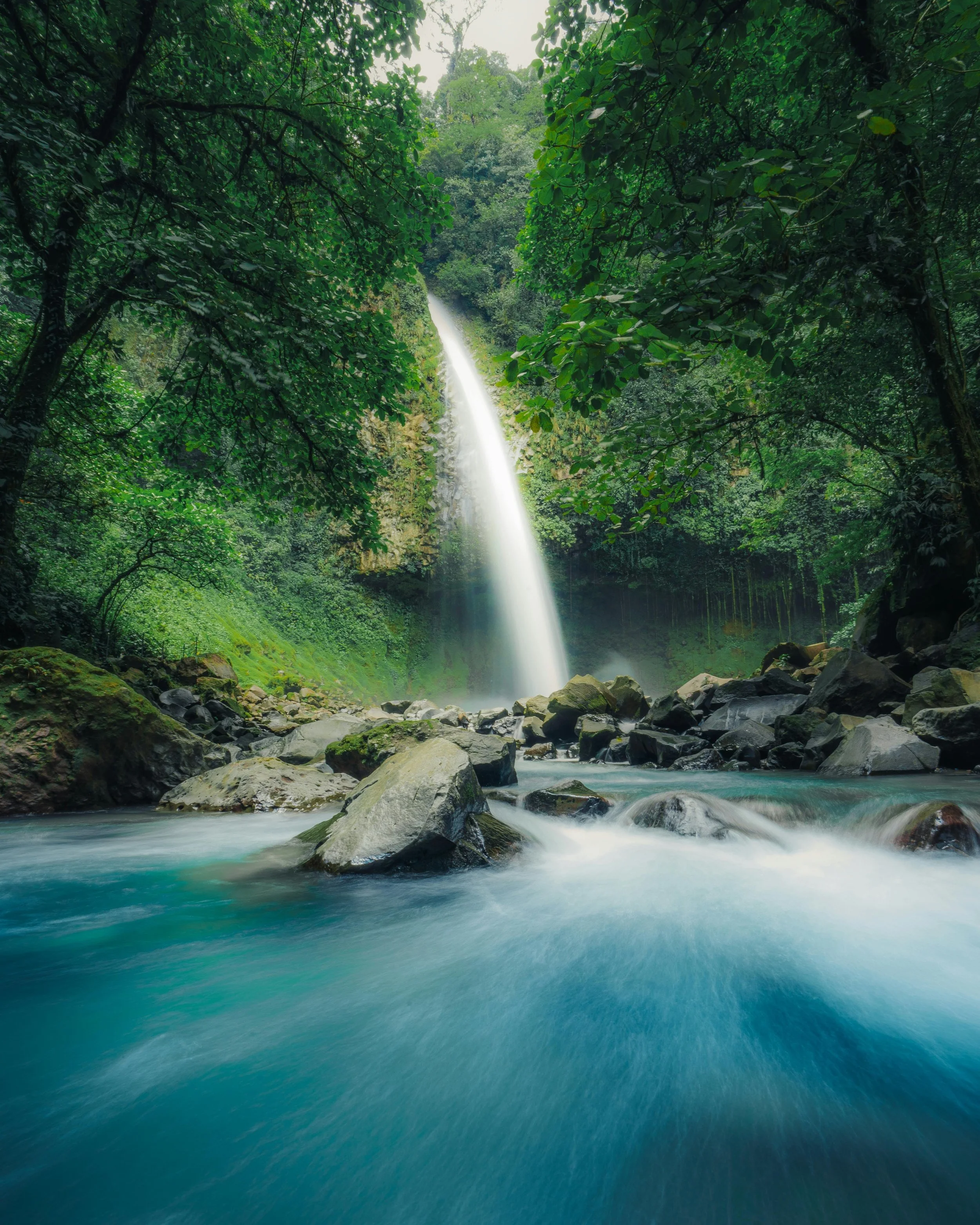 A waterfall flowing into a river surrounded by lush green trees in a forest.