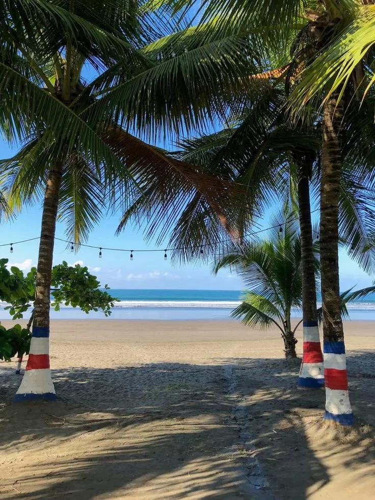 A tropical beach with palm trees painted with red, white, and blue stripes on the trunks, sand, and ocean in the background with a clear blue sky above.