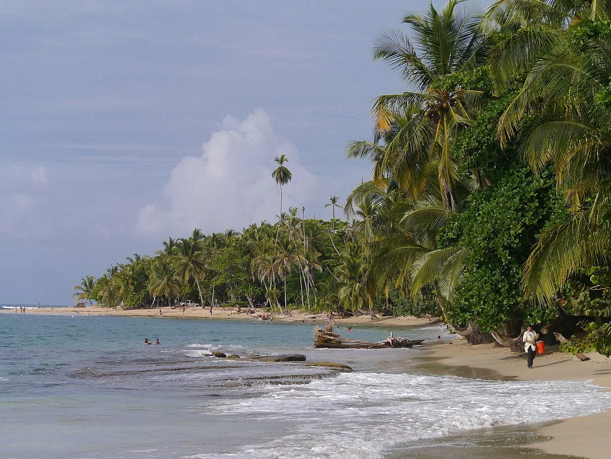 Tropical beach with palm trees, sandy shore, and ocean with small waves. People swimming and a person walking with a bucket near the trees.