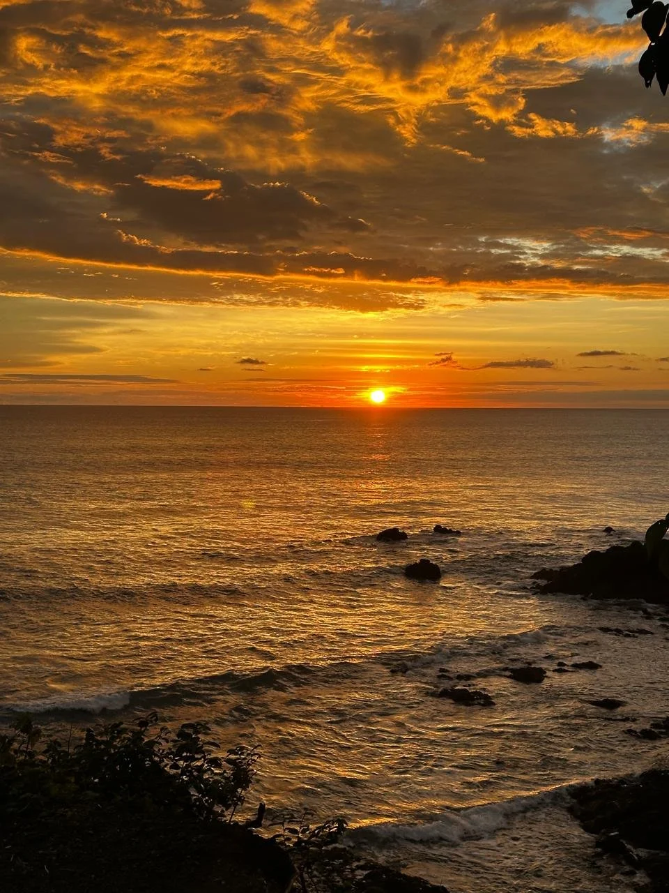 Sunset over the ocean with golden clouds and a partly cloudy sky, silhouetted rocks and plants in the foreground.