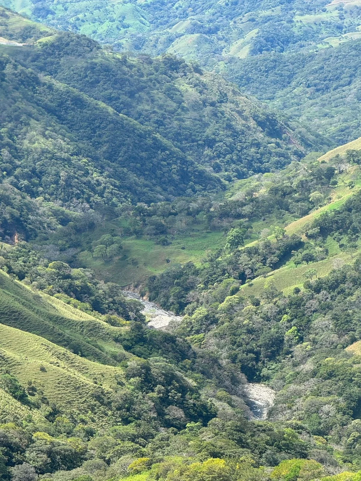 Green mountainous landscape with dense forests and a small river running through the valley.