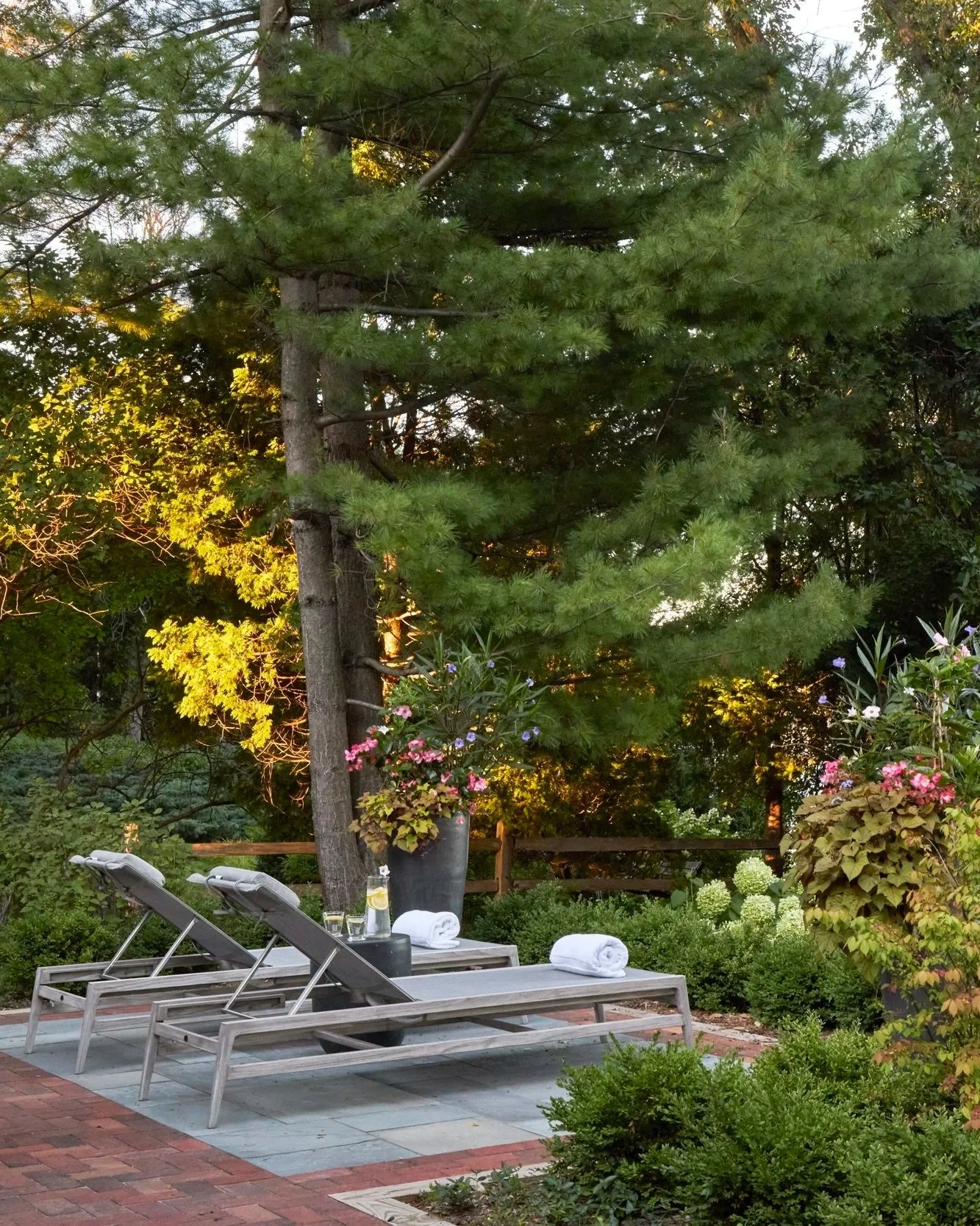 outdoor sun loungers on patio, pine trees and hydrangeas on patio.