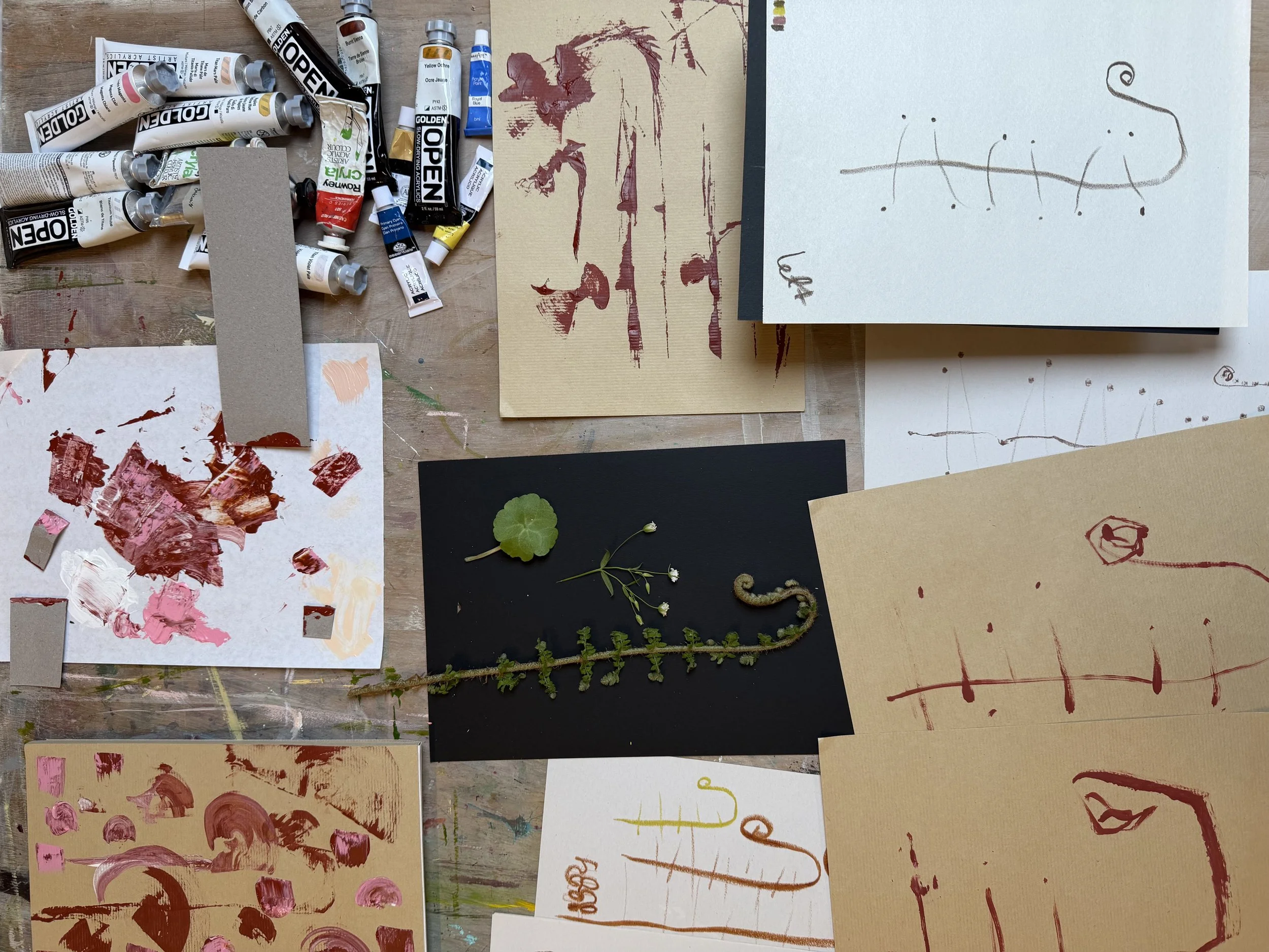 Nature’s Patterns: A Residential with Rosie Harbottle