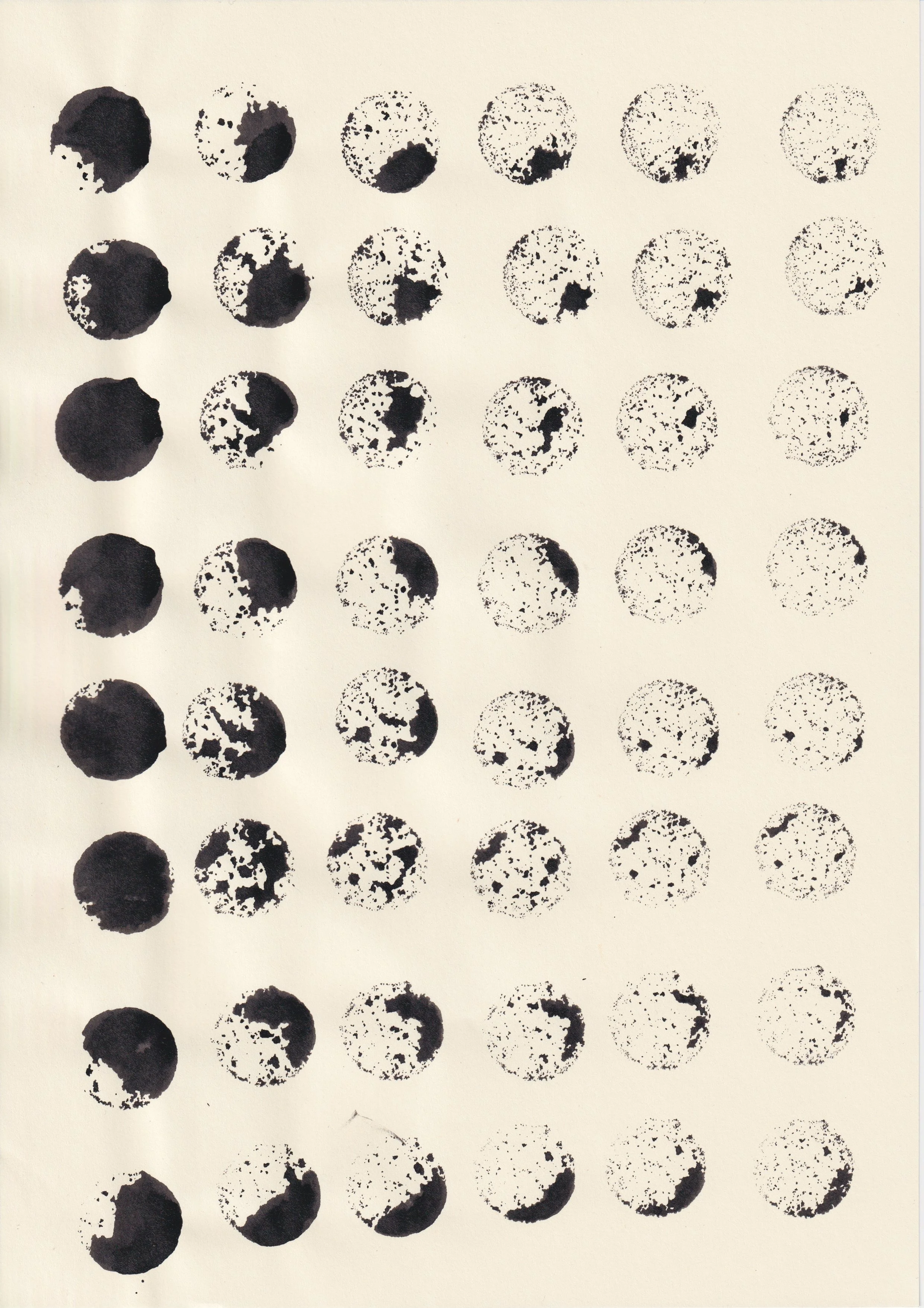 Scan 13.jpeg
