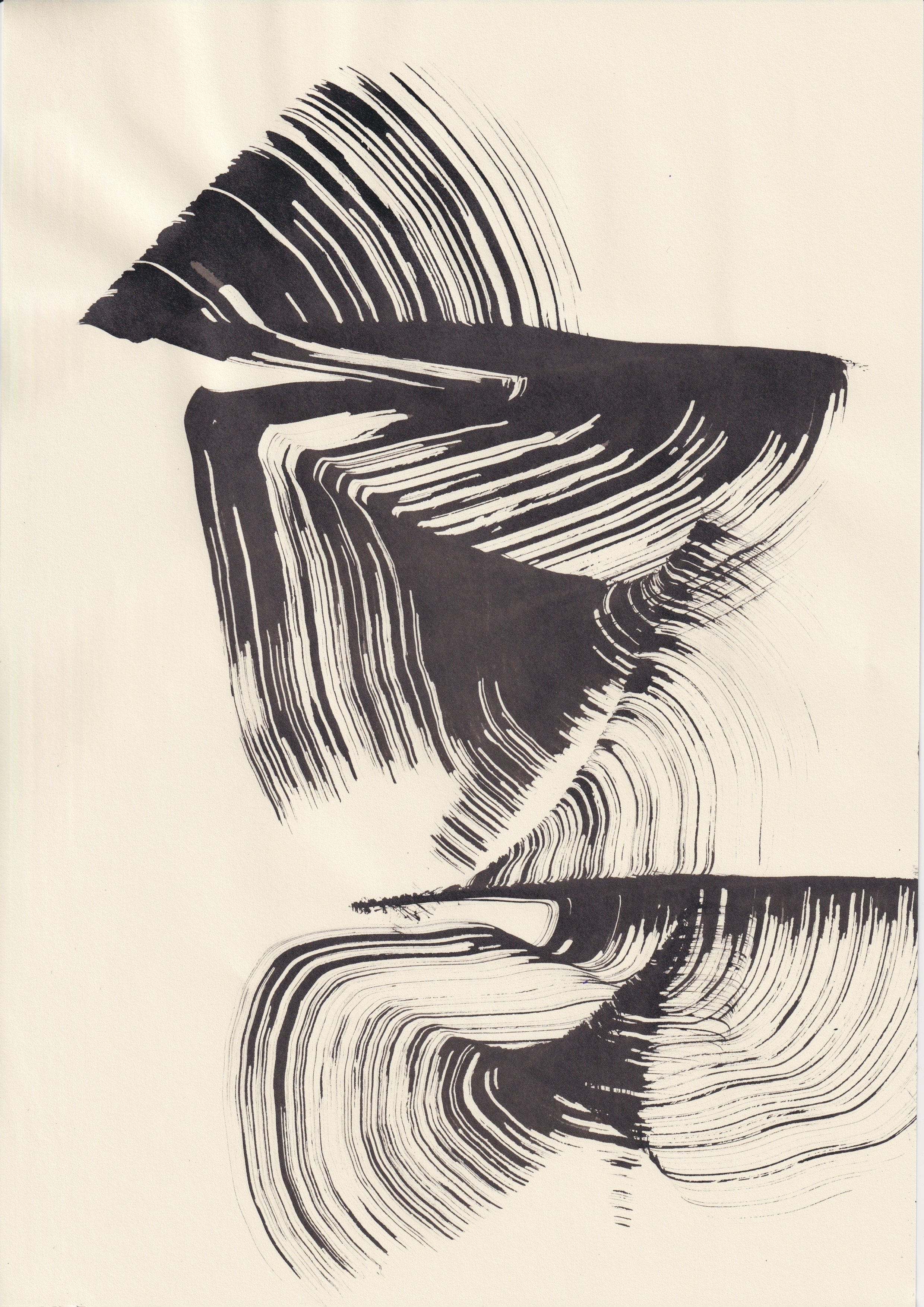 Scan 9.jpeg