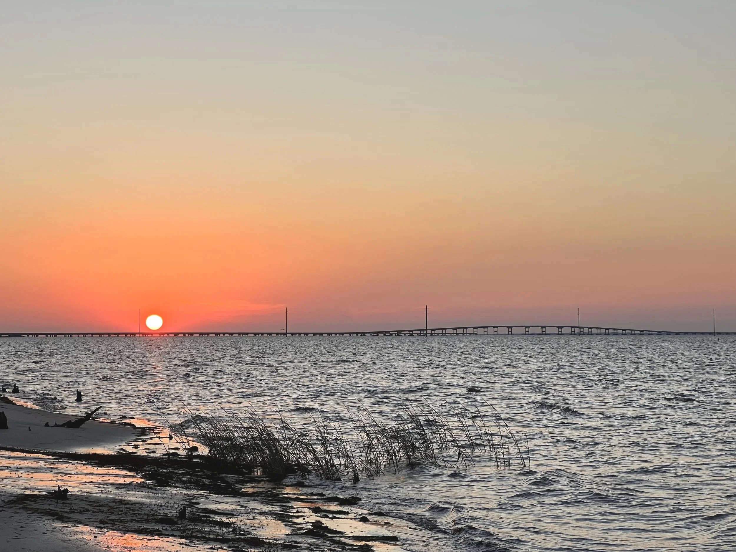 Sunset over a body of water with a bridge in the distance and grassy reeds in the foreground.