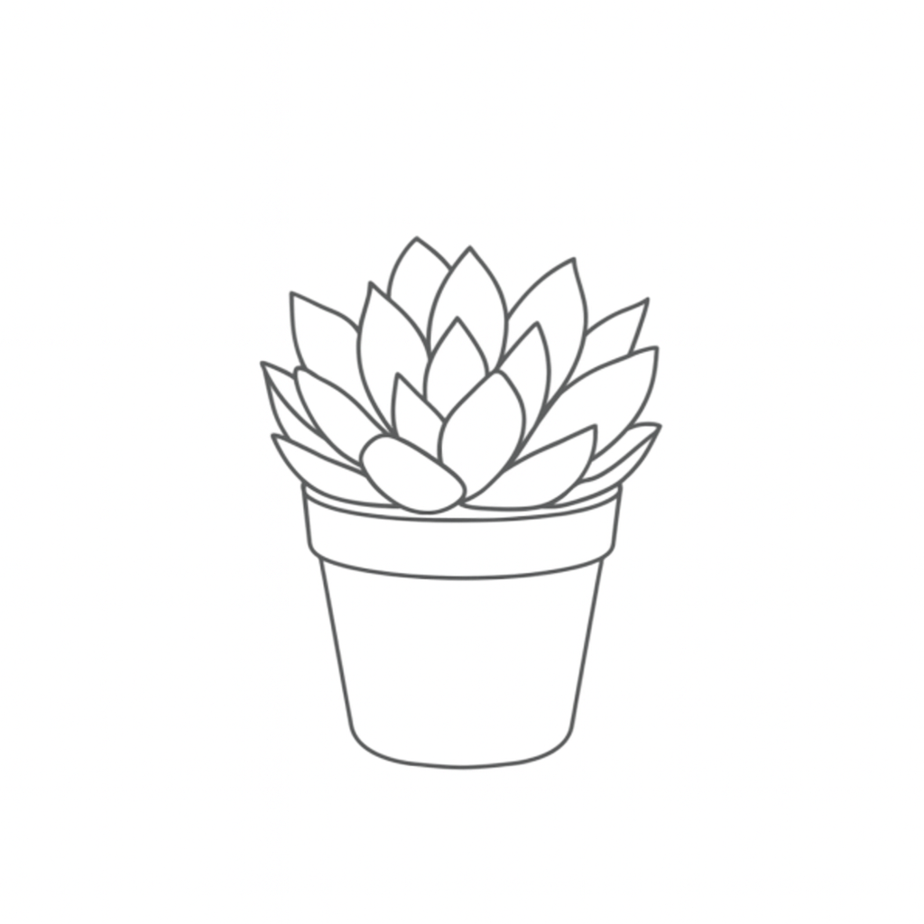 Line drawing of a potted succulent plant with layered leaves.