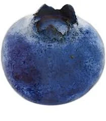 Blueberry Hibiscus Tea