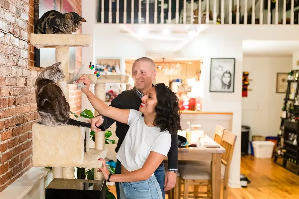 At-Home Engagement Session With Cats