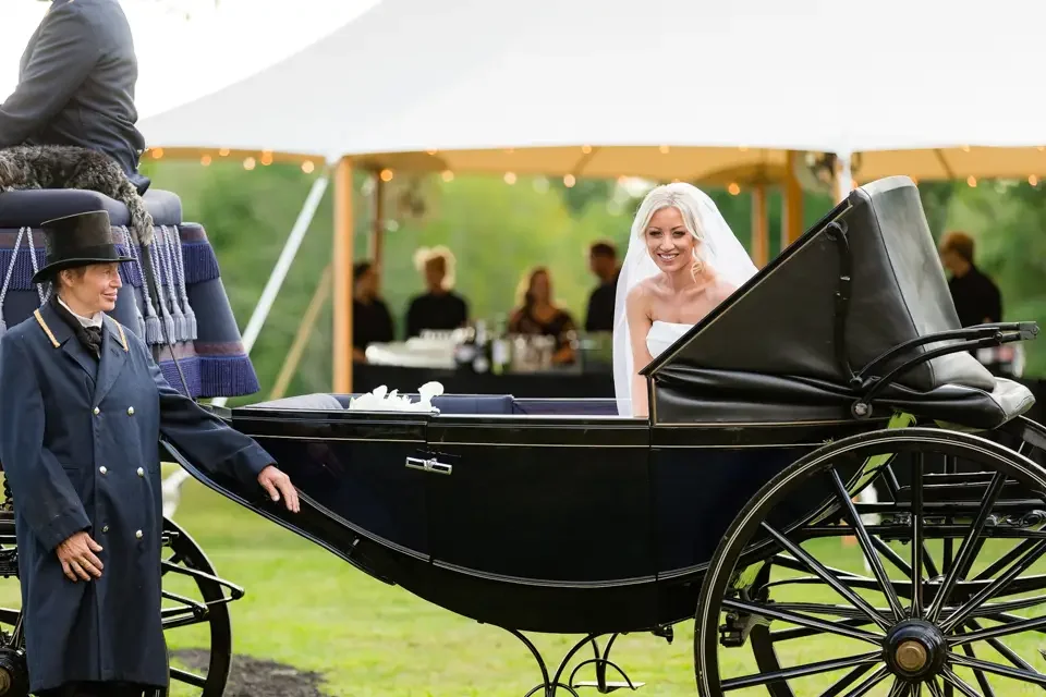 Bride Waiting in the Carriage