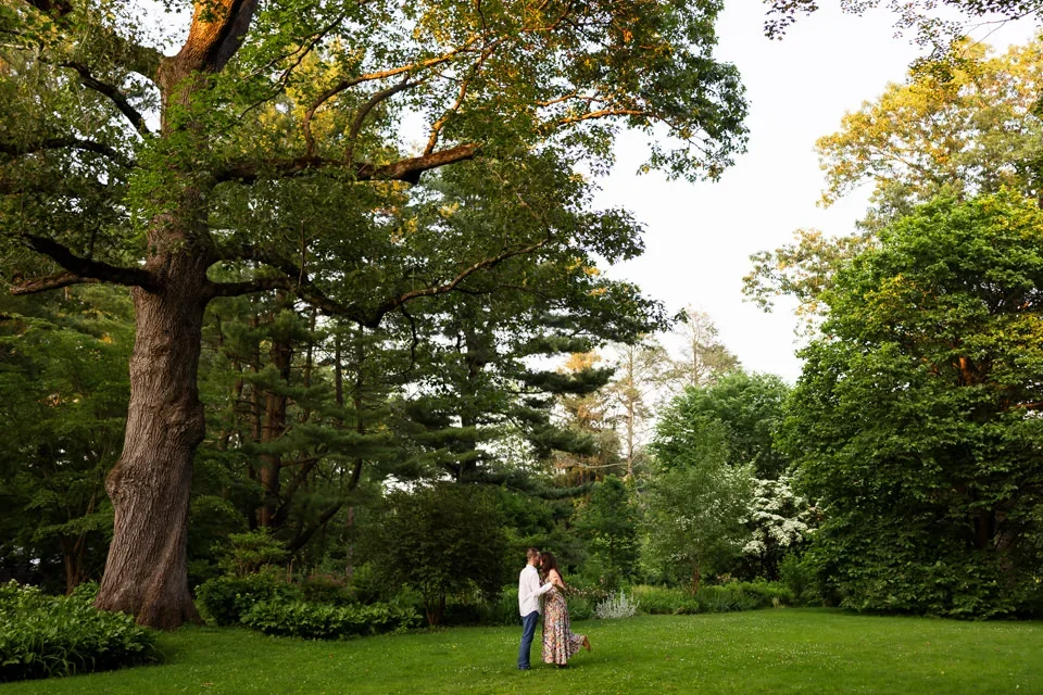 Romantic Engagement in a Natural Landscape