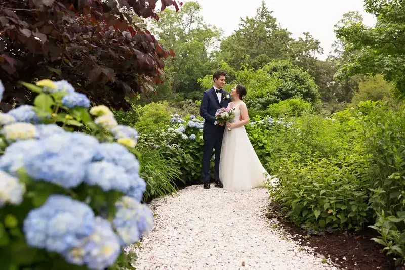 Hydrangea Garden Portrait