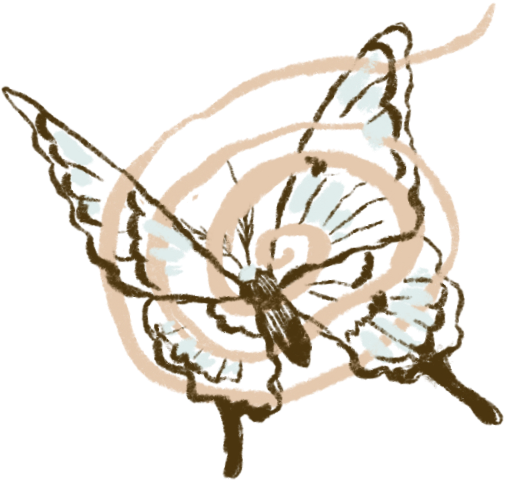 Drawing of a butterfly with symmetrical wings, decorated with a black swirl pattern in the center.