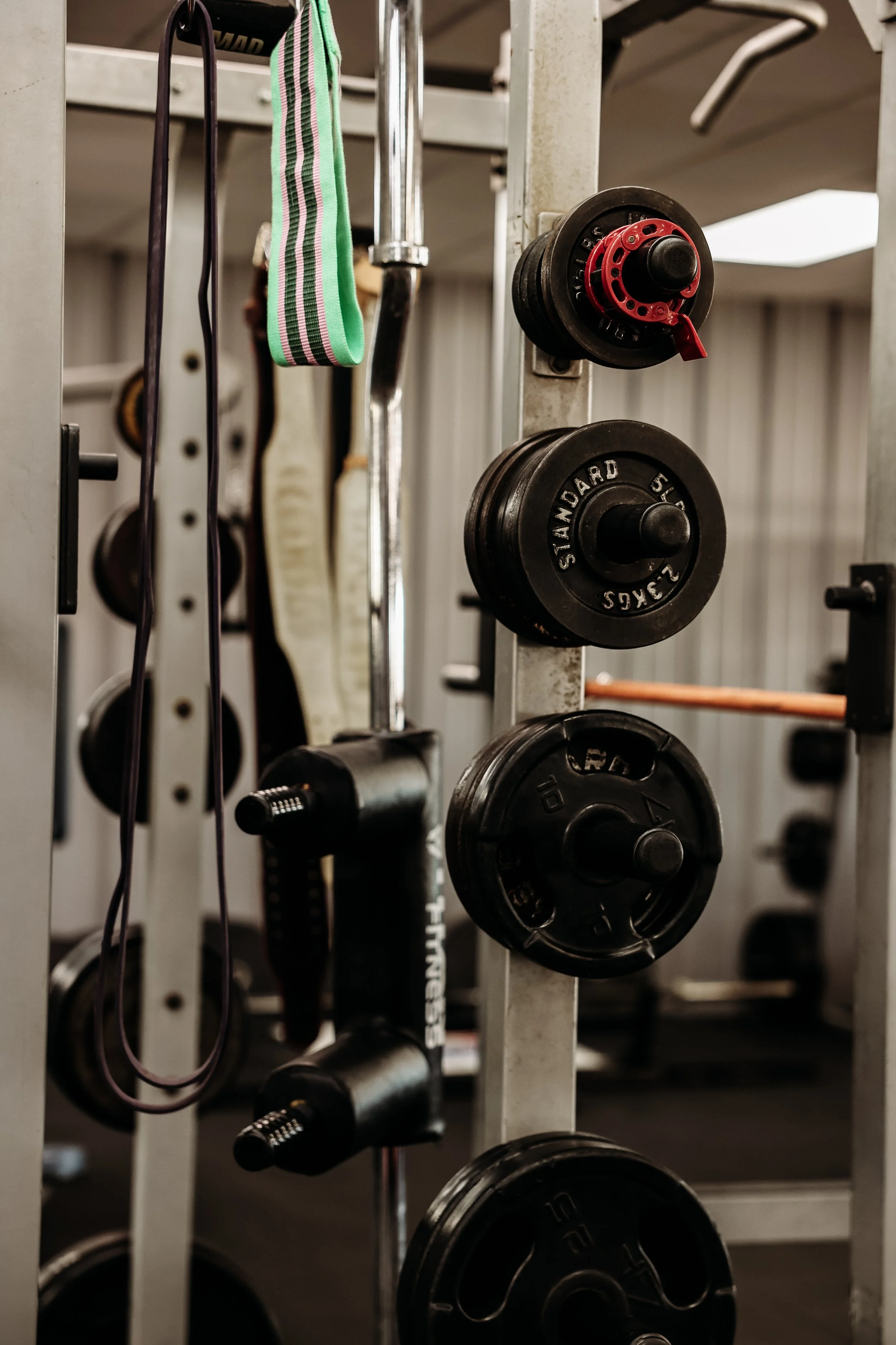 Full body workout equipment available at Bonham Barbell Club