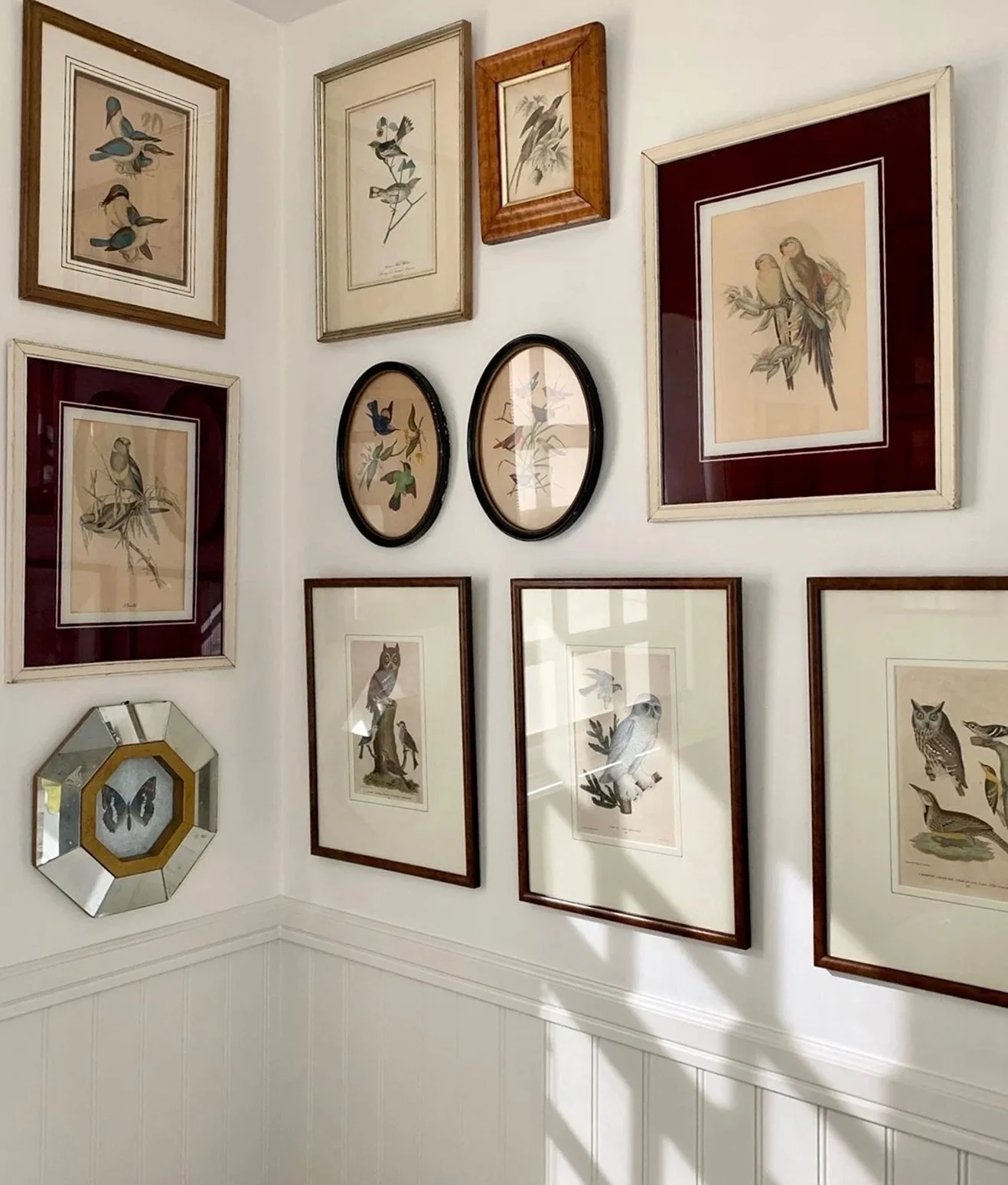 A gallery wall with framed bird illustrations and a mirror in a room with white walls and crown molding.