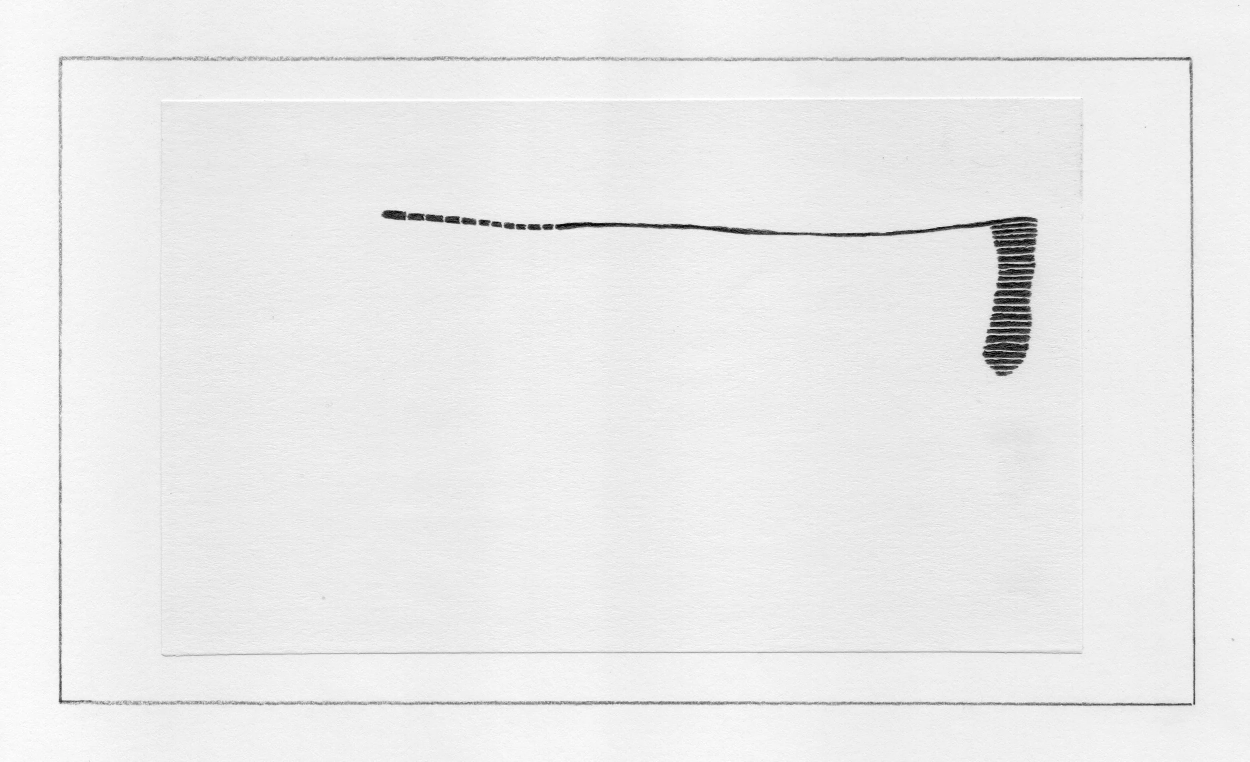 SP #117
