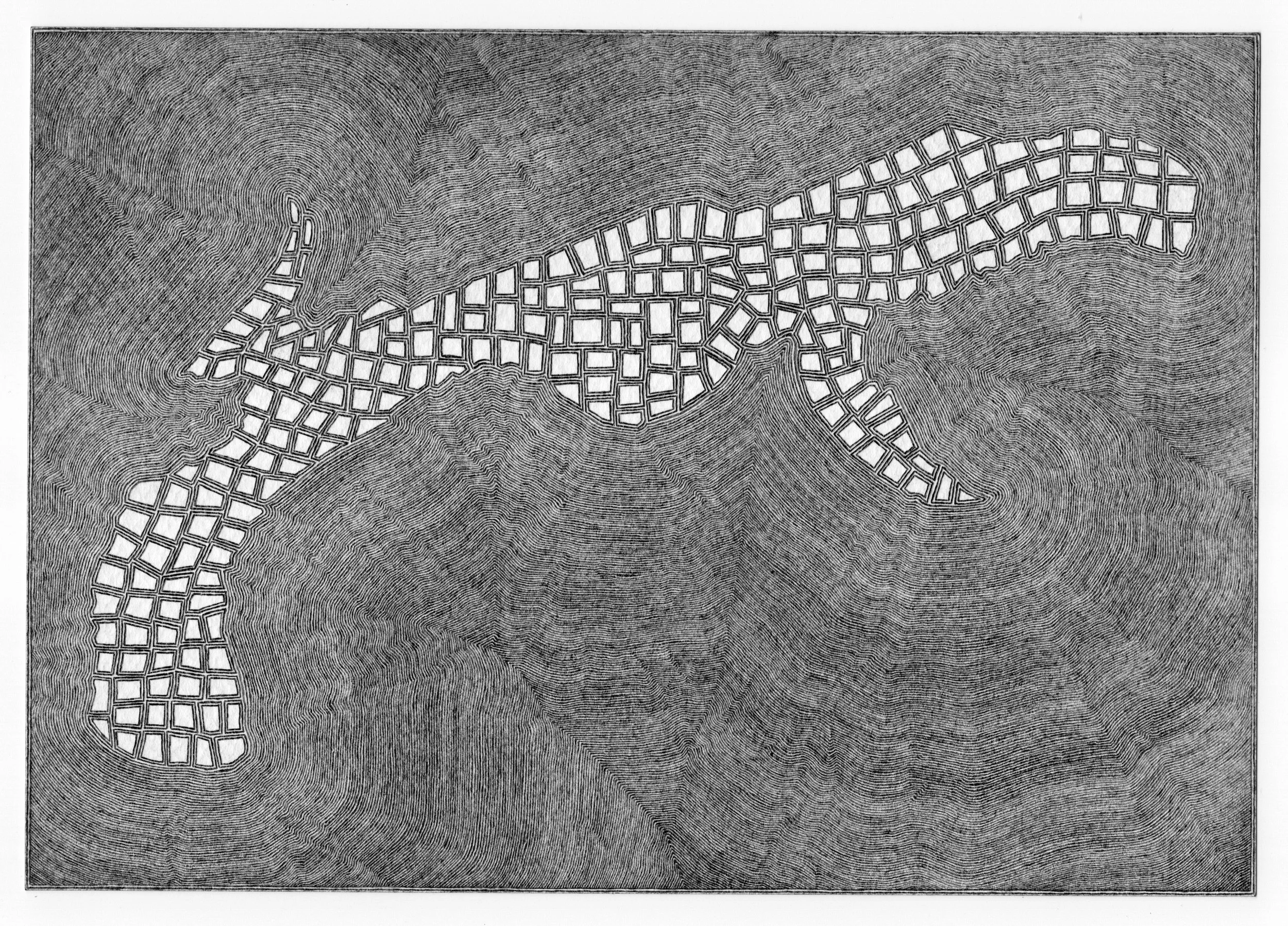 Hawkbill Handgun 2-23-26 concentric rings