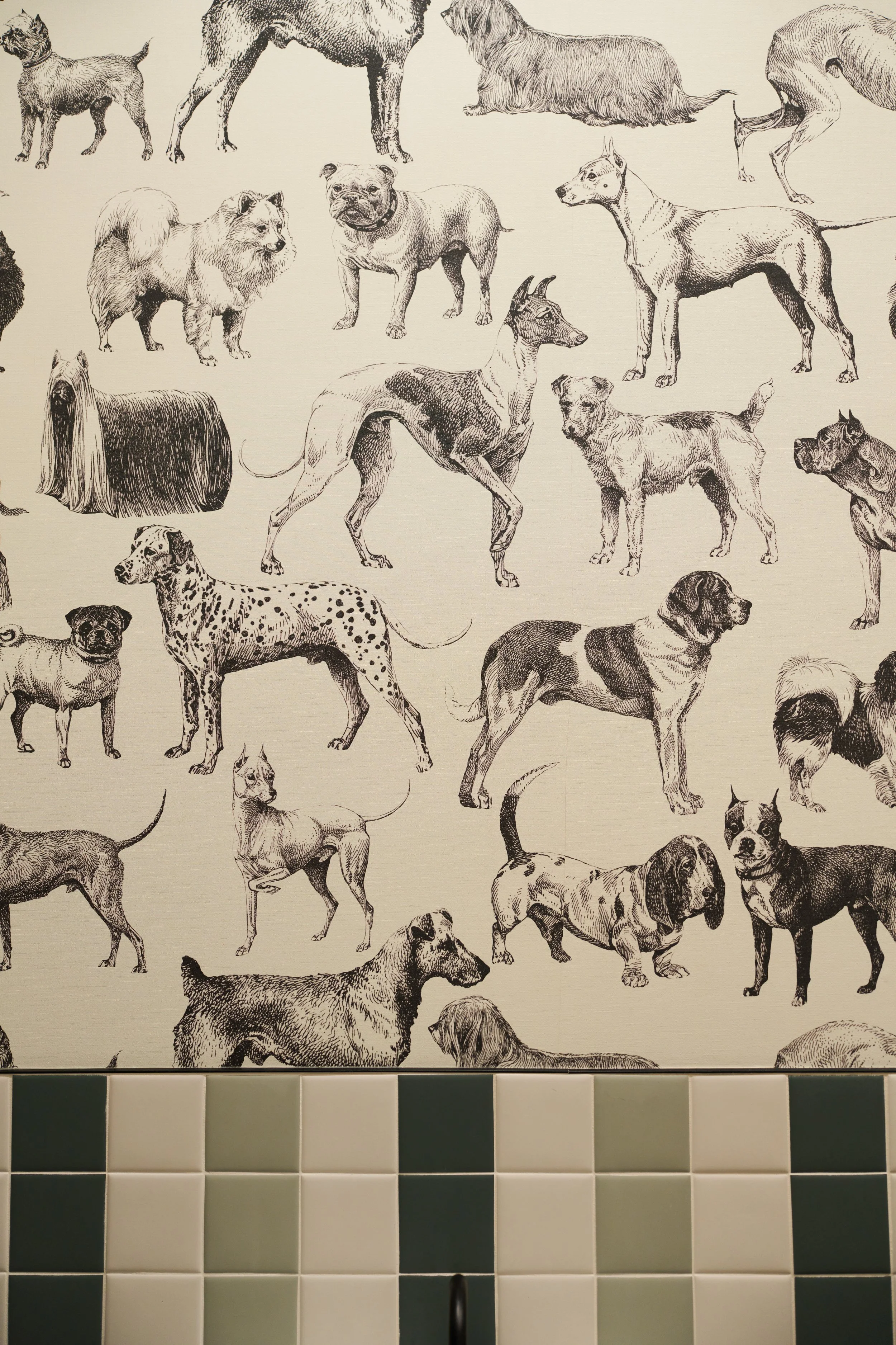 Wall decorated with illustrations of various dog breeds, with a row of black and white tiles below.