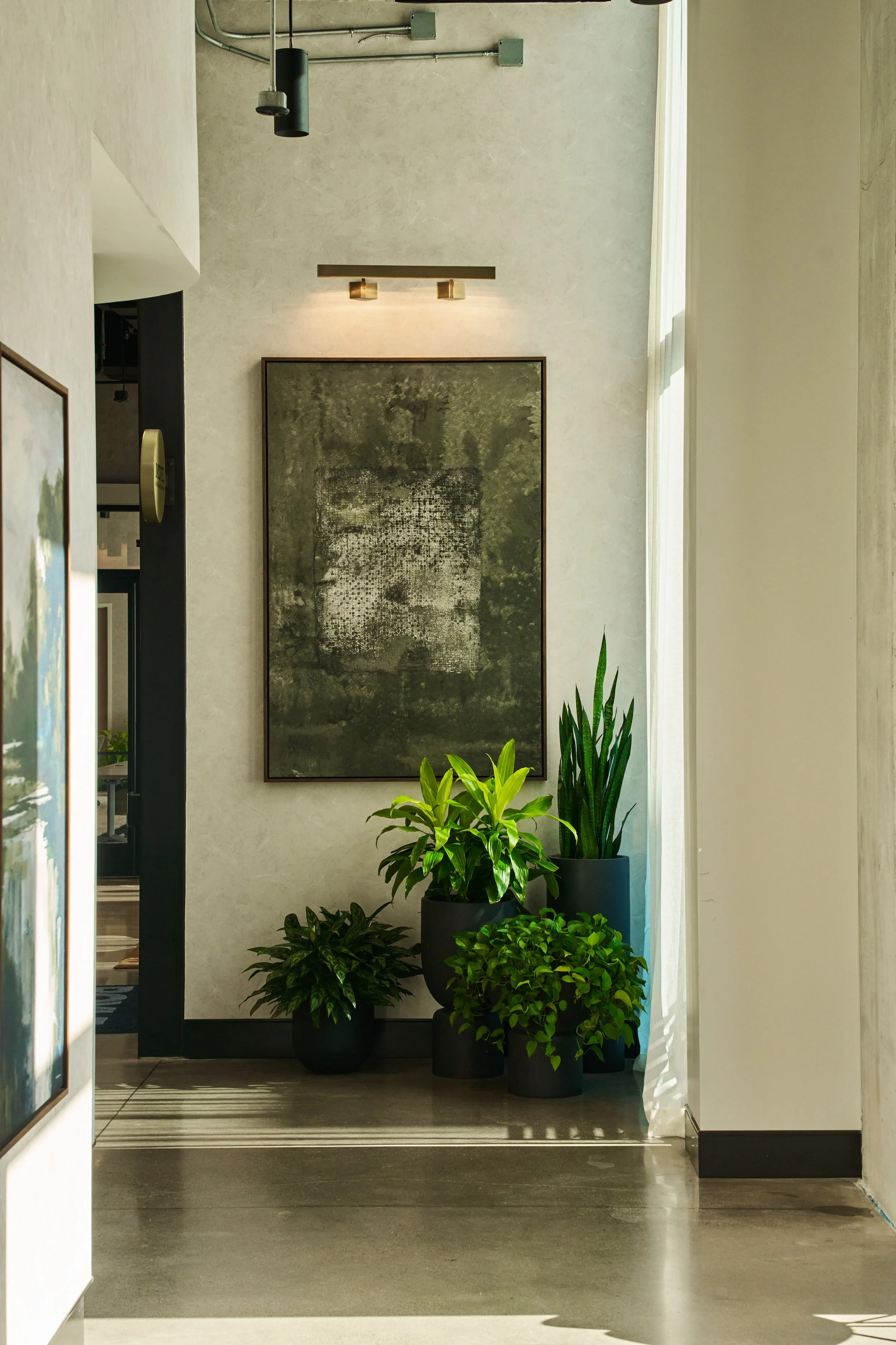 Interior of a modern space with a beige textured wall, art piece, and green potted plants on black pots, natural light streaming through a window with sheer white curtain.