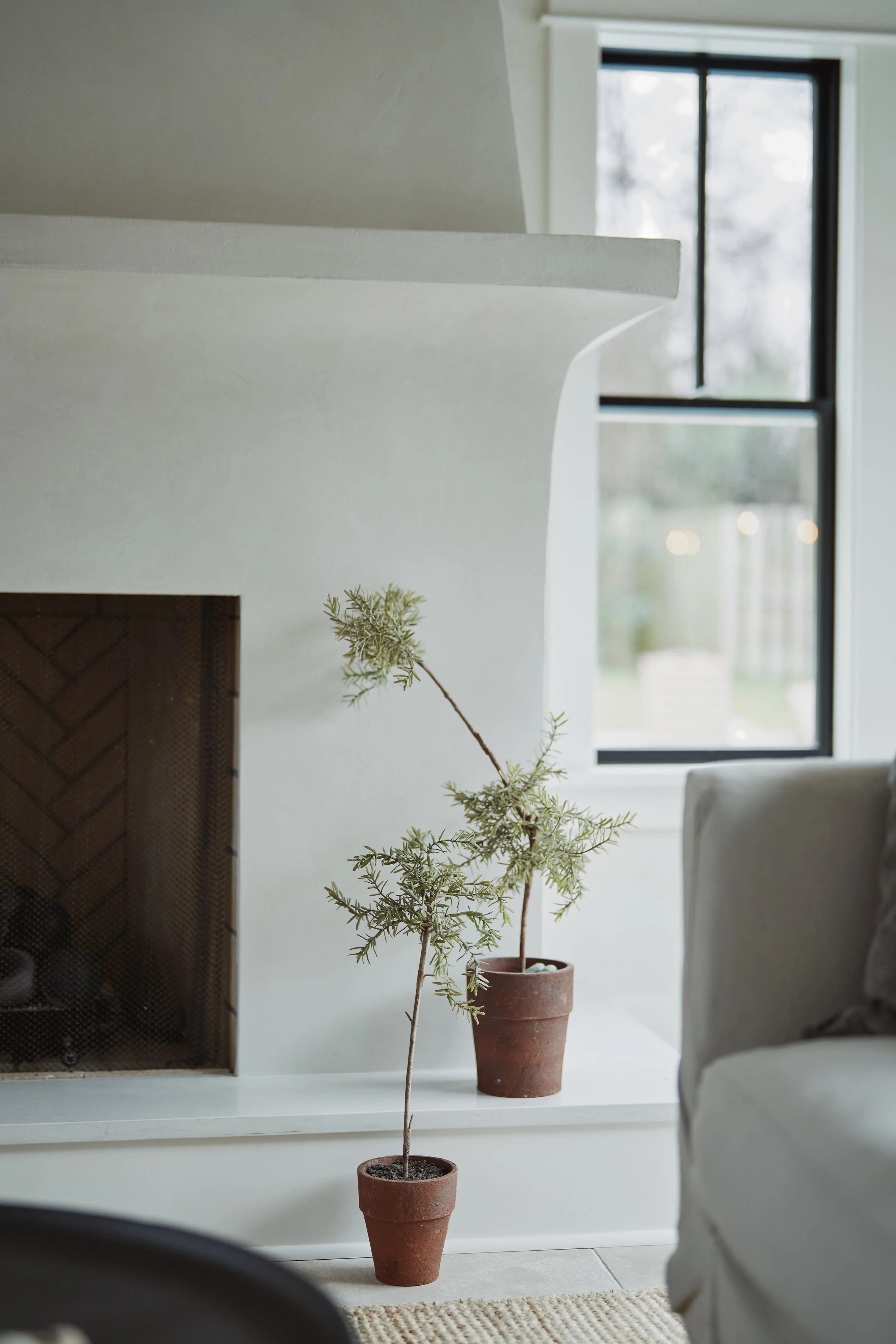 Indoor scene showing a potted small tree with sparse branches and green leaves on a white surface, near a white wall with a fireplace with a black mesh screen, and a large window with blackout curtains in the background.