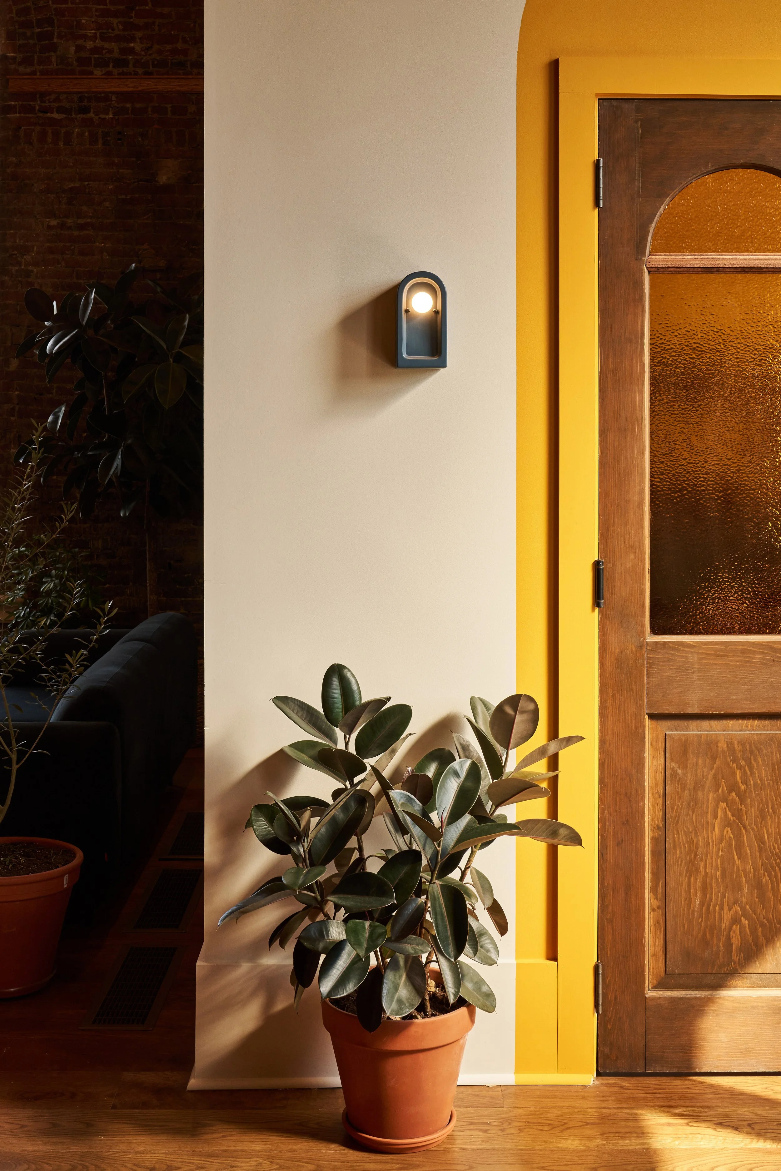 A large potted plant with dark green, glossy leaves in a terracotta pot, placed against a wall with beige and yellow paint, next to a wooden door with textured glass, in a warmly lit interior space.
