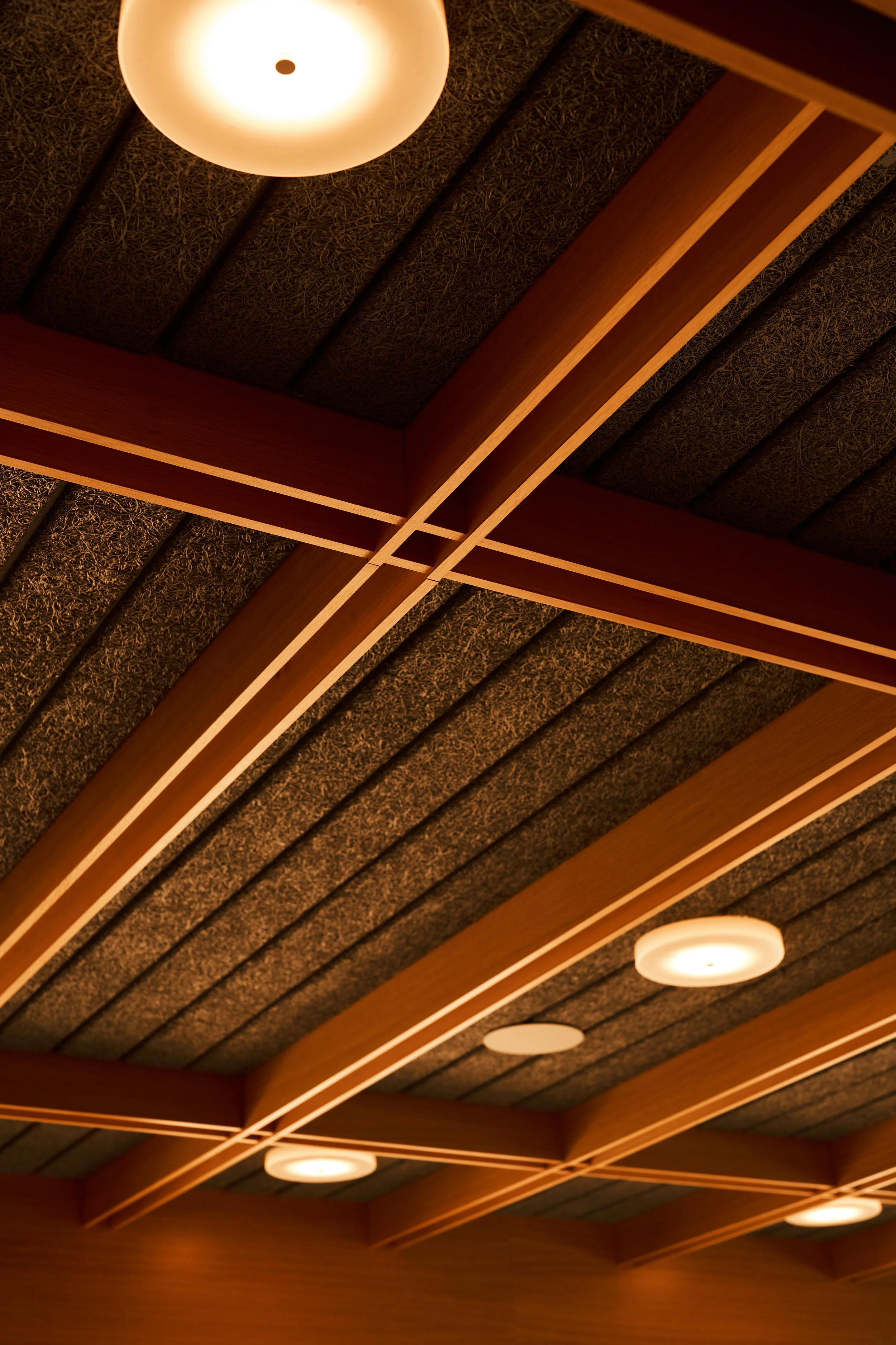 Ceiling with wooden beams, textured acoustic panels, and round light fixtures.