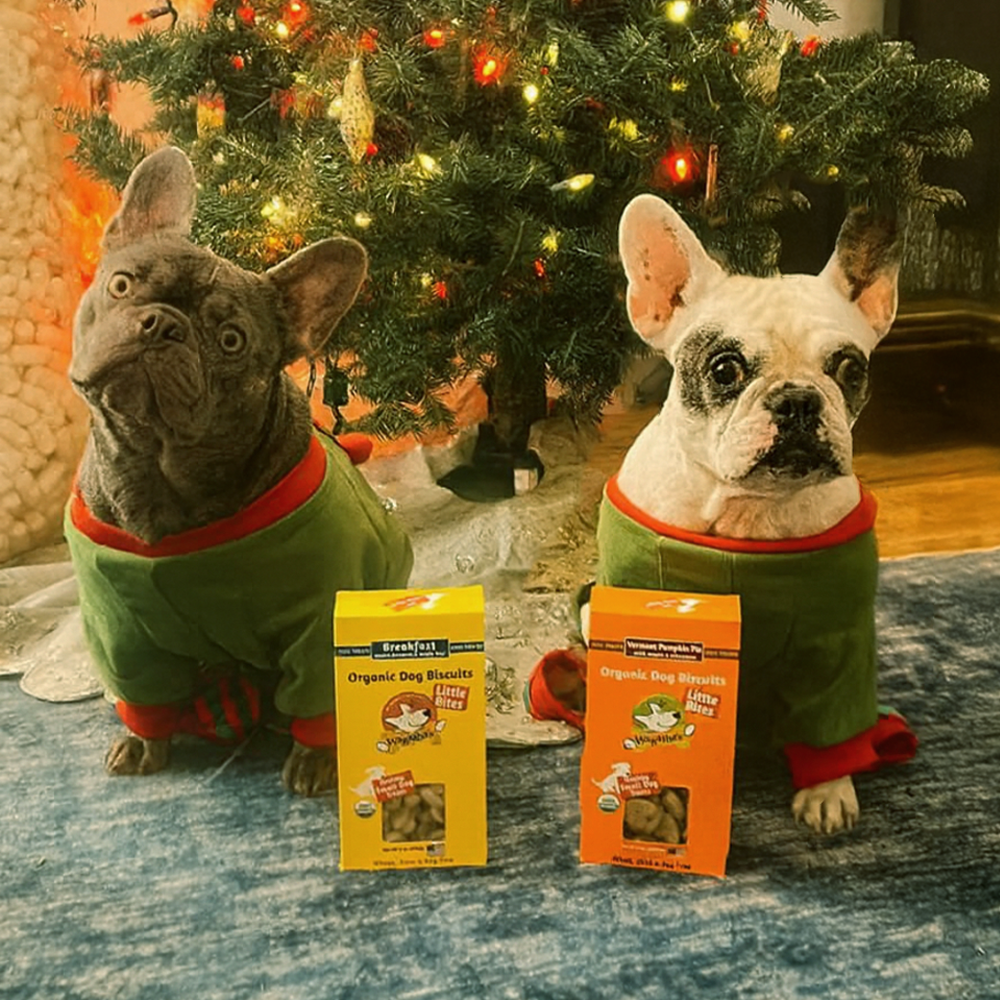 Morning & Moonlight Doggie Treat Duo